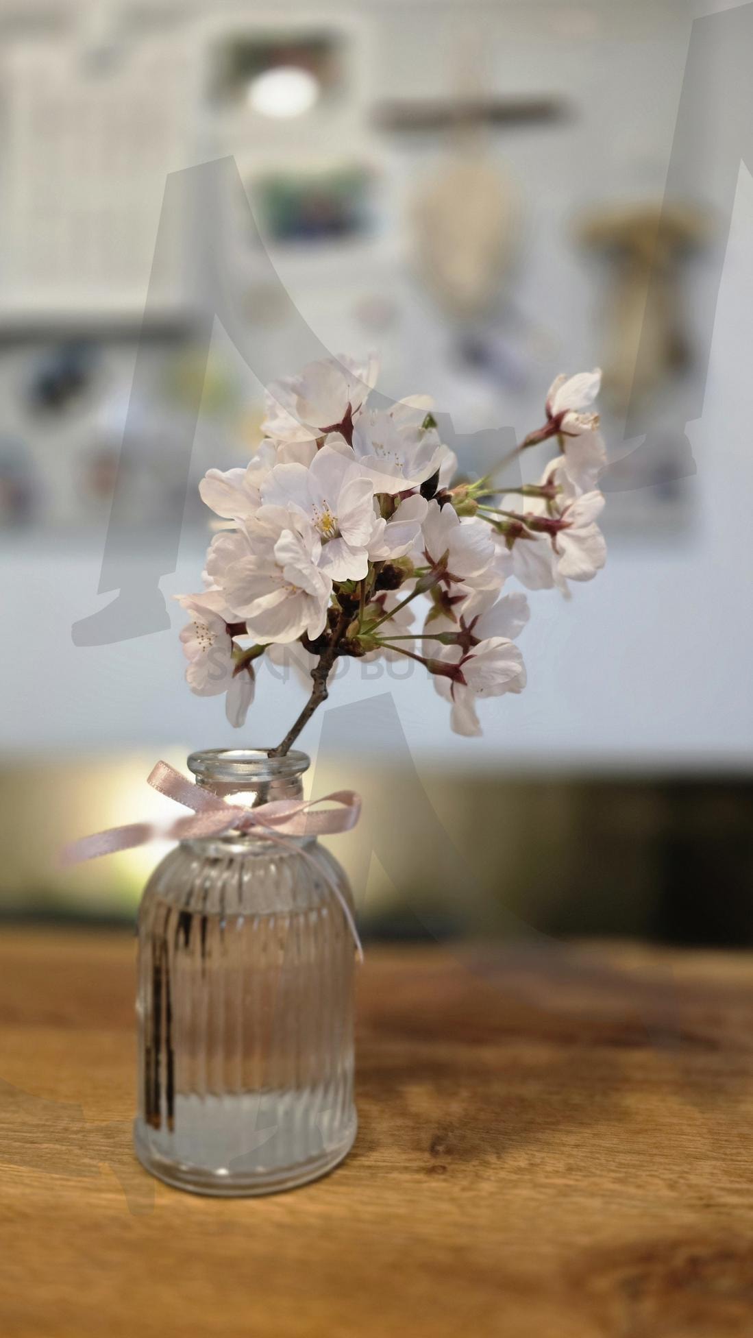 봄 식탁 (화병에 담긴 벚꽃) | 봄, 봄꽃, 벚꽃, 화병, 식탁 | 스탠바이 STANDBUY 디지털 콘텐츠