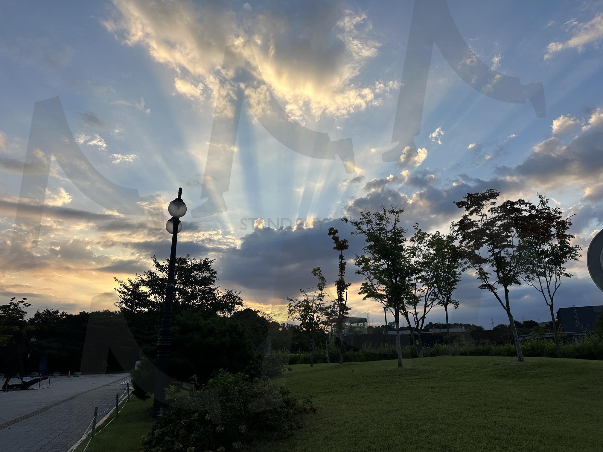 햇살 | 아침, 광명, 햇살, 눈부신, 일출 | 스탠바이 STANDBUY 디지털 콘텐츠