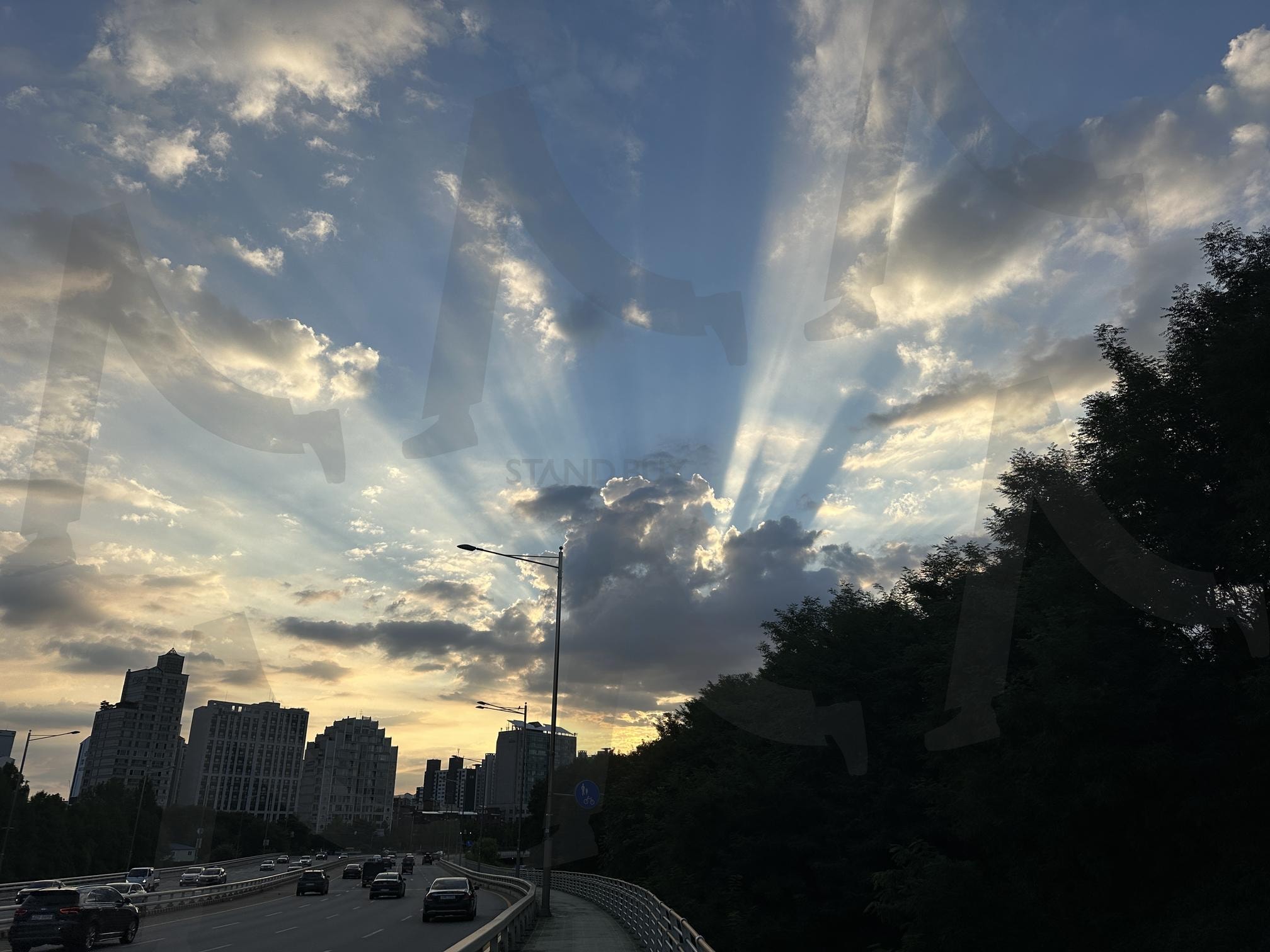 광명 | 아침, 햇살, 광명, 눈부심, 멋진 아침 햇살 | 스탠바이 STANDBUY 디지털 콘텐츠