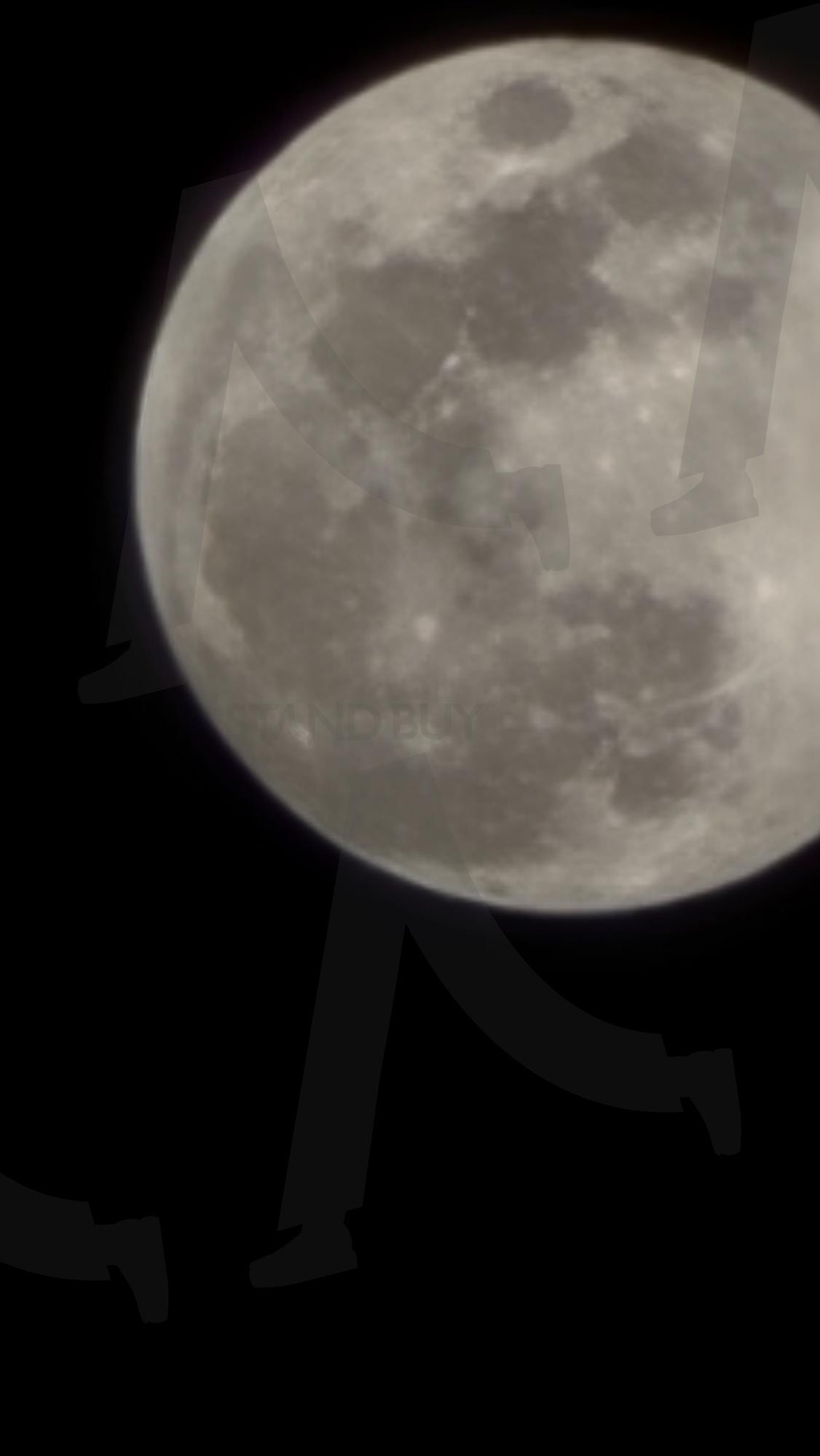 달 | 달, 가린달, 보름달, Moon, 달사진 | 스탠바이 STANDBUY 디지털 콘텐츠