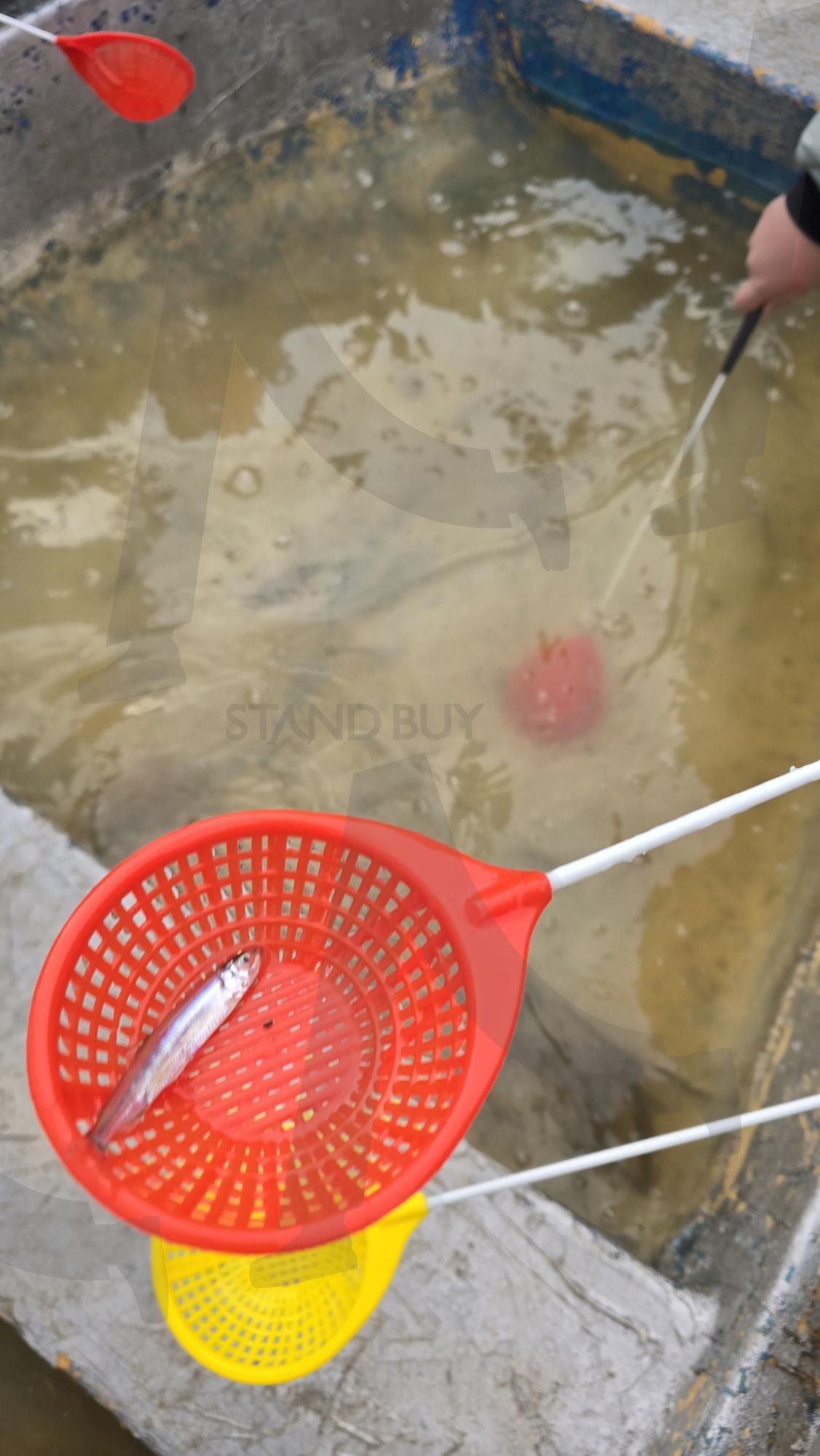 빙어잡이 | 빙어, 낚시, 빙어잡기, 빙어한마리, 고기 | 스탠바이 STANDBUY 디지털 콘텐츠