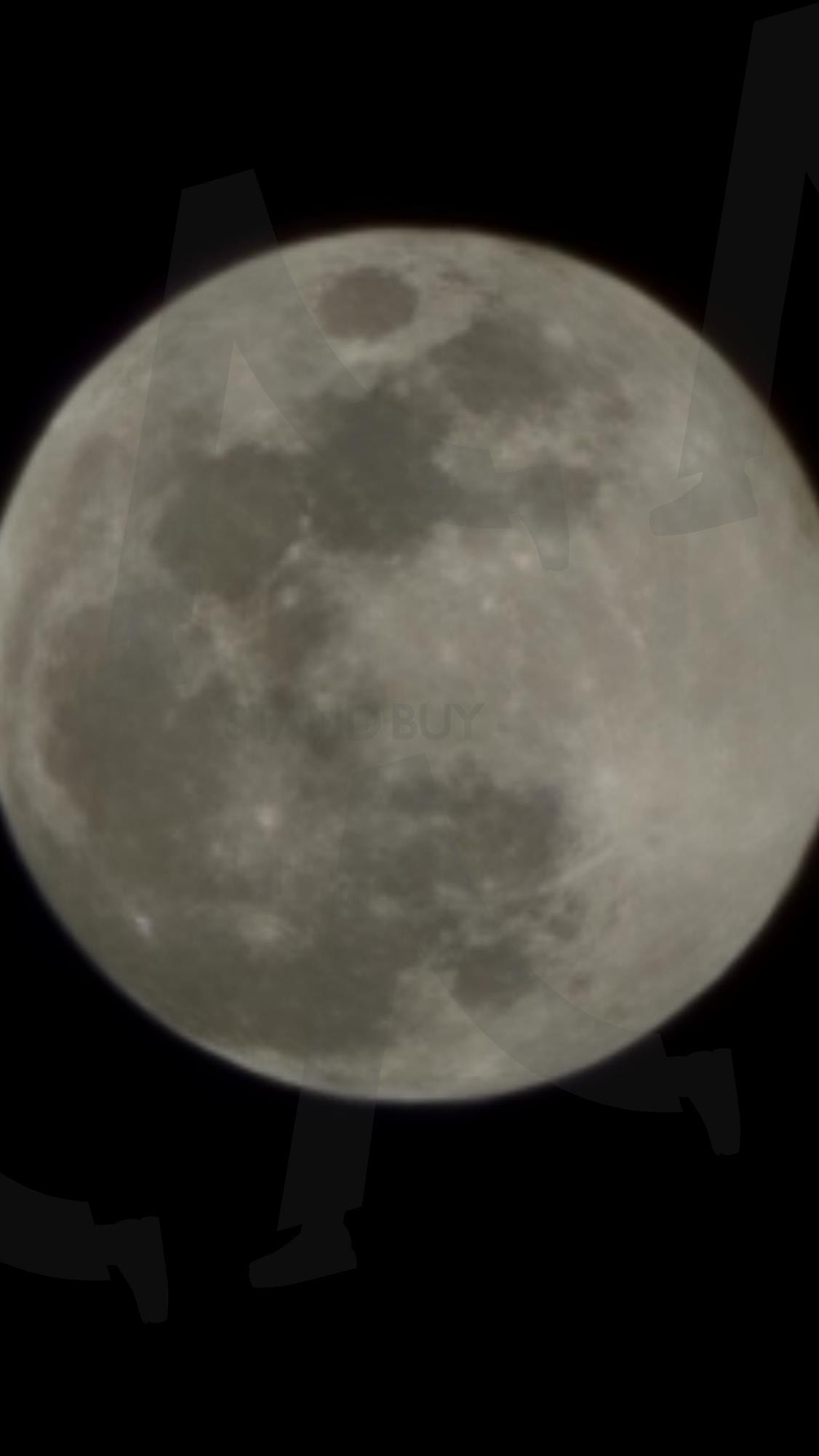 달달무슨달 | 달, 오늘의달, 달사진, 보름달사진, 문, Moon | 스탠바이 STANDBUY 디지털 콘텐츠