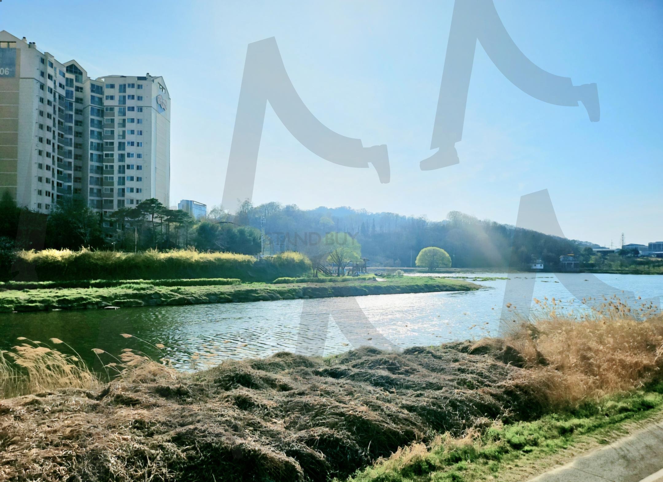 봄에 천변에서 바라본 뷰 | 천변, 전주, 벚꽃세상, 꽂밭., 봄에누릴수 있는 세상 | 스탠바이 STANDBUY 디지털 콘텐츠