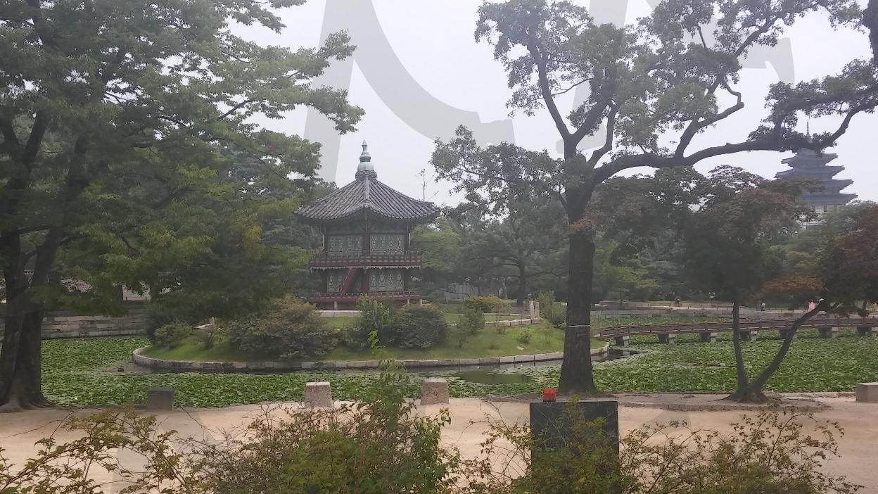 궁 | 궁전, 궁, 서울, 경복궁, 한옥 | 스탠바이 STANDBUY 디지털 콘텐츠