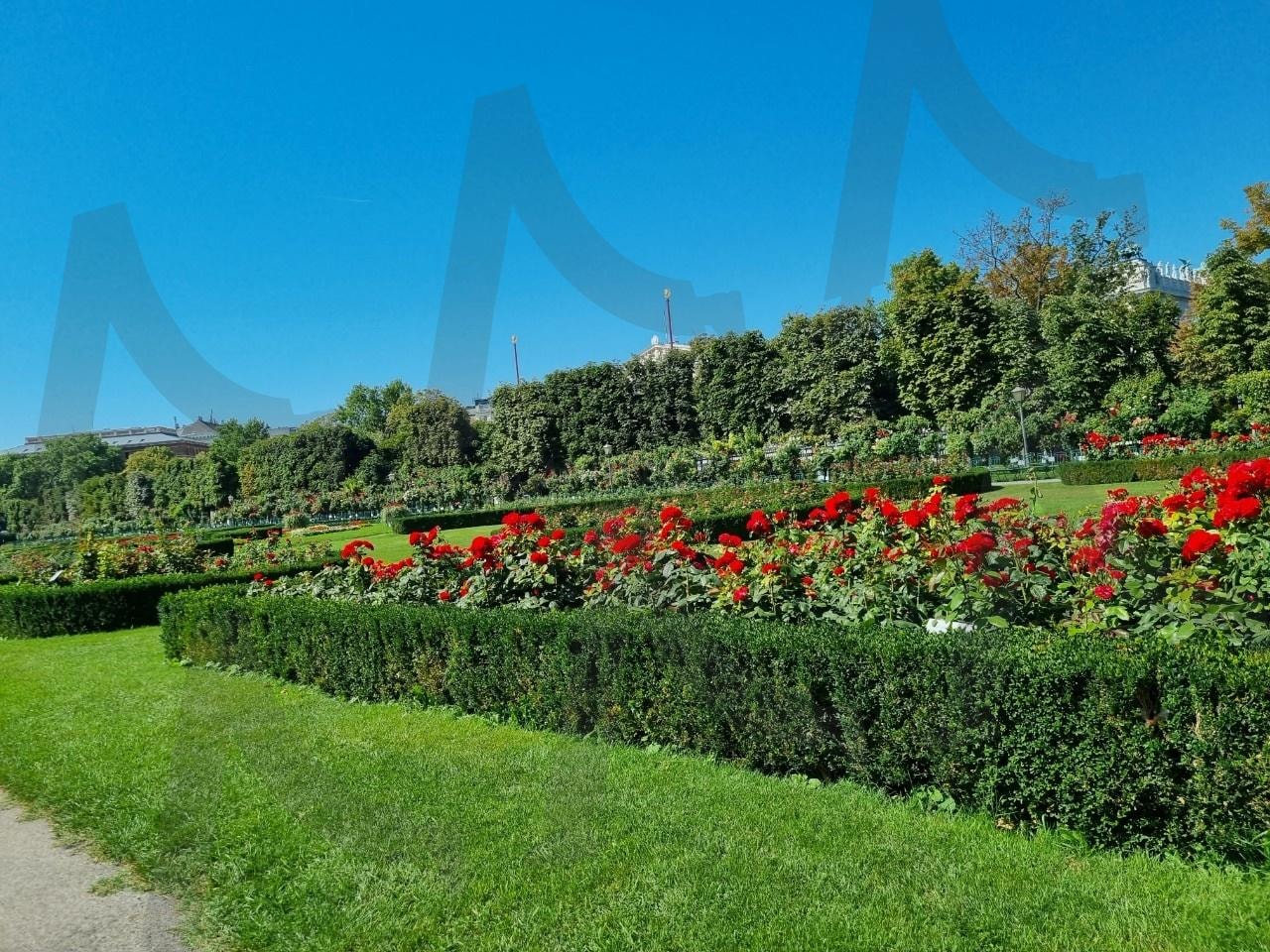 유럽여행 | 유럽, 자연, 푸른하늘, 꽃, 나무 | 스탠바이 STANDBUY 디지털 콘텐츠