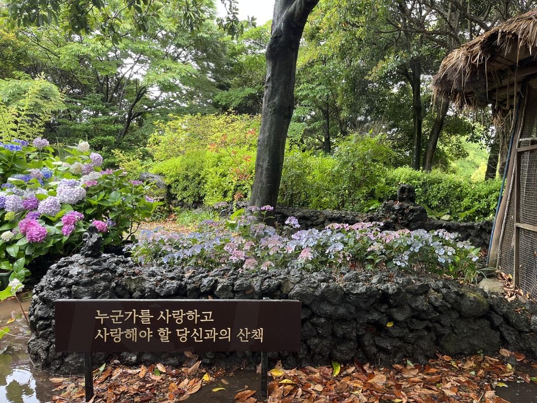 산책 | 사랑, 산책, 제주도, 꽃, 여행 | 스탠바이 STANDBUY 디지털 콘텐츠