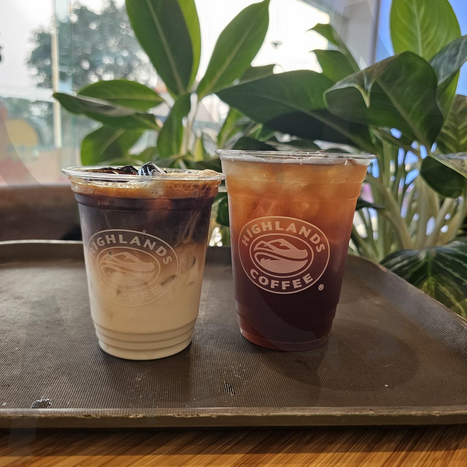 Highlands Coffee in Hanoi | Phindi Hanh Nhan, 베트남, 하노이, 베트남커피, 하노이커피 | 스탠바이 STANDBUY 디지털 콘텐츠