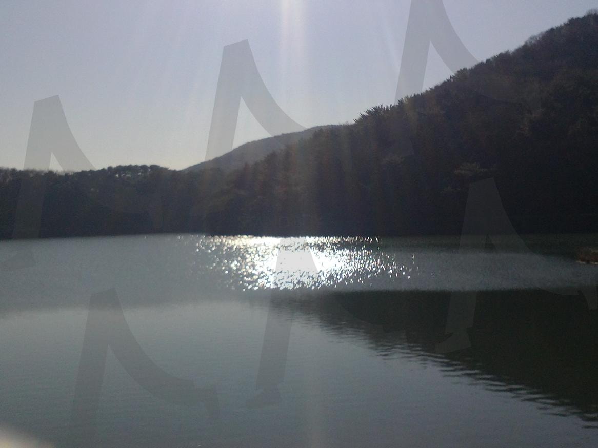 빛줄기 | 호수, 빛, 고요, 명상, 자연 | 스탠바이 STANDBUY 디지털 콘텐츠