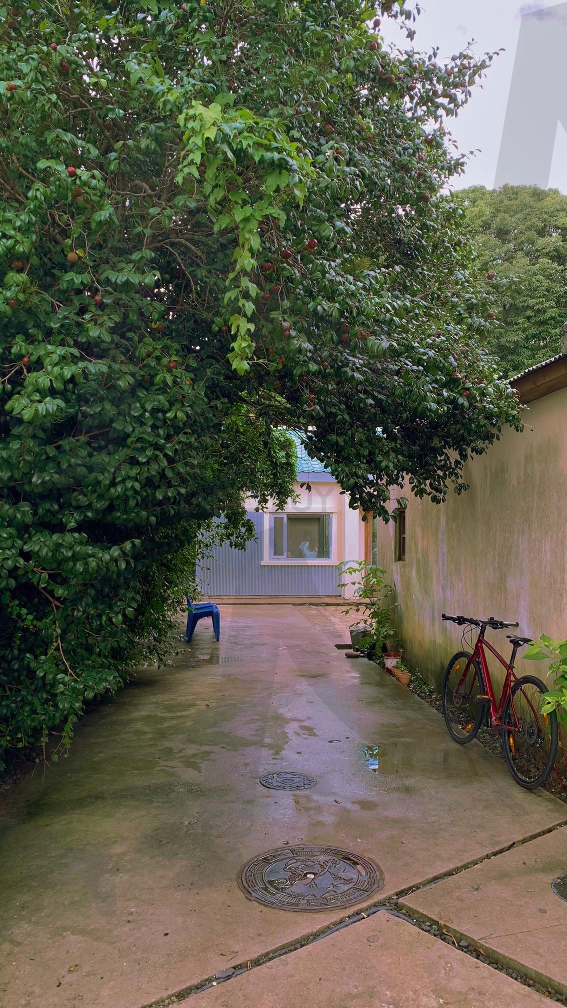 비 온 뒤 골목의 숨결 | 골목풍경, 비온뒤감성, 레트로분위기, 자전거사진, 고요한순간 | 스탠바이 STANDBUY 디지털 콘텐츠