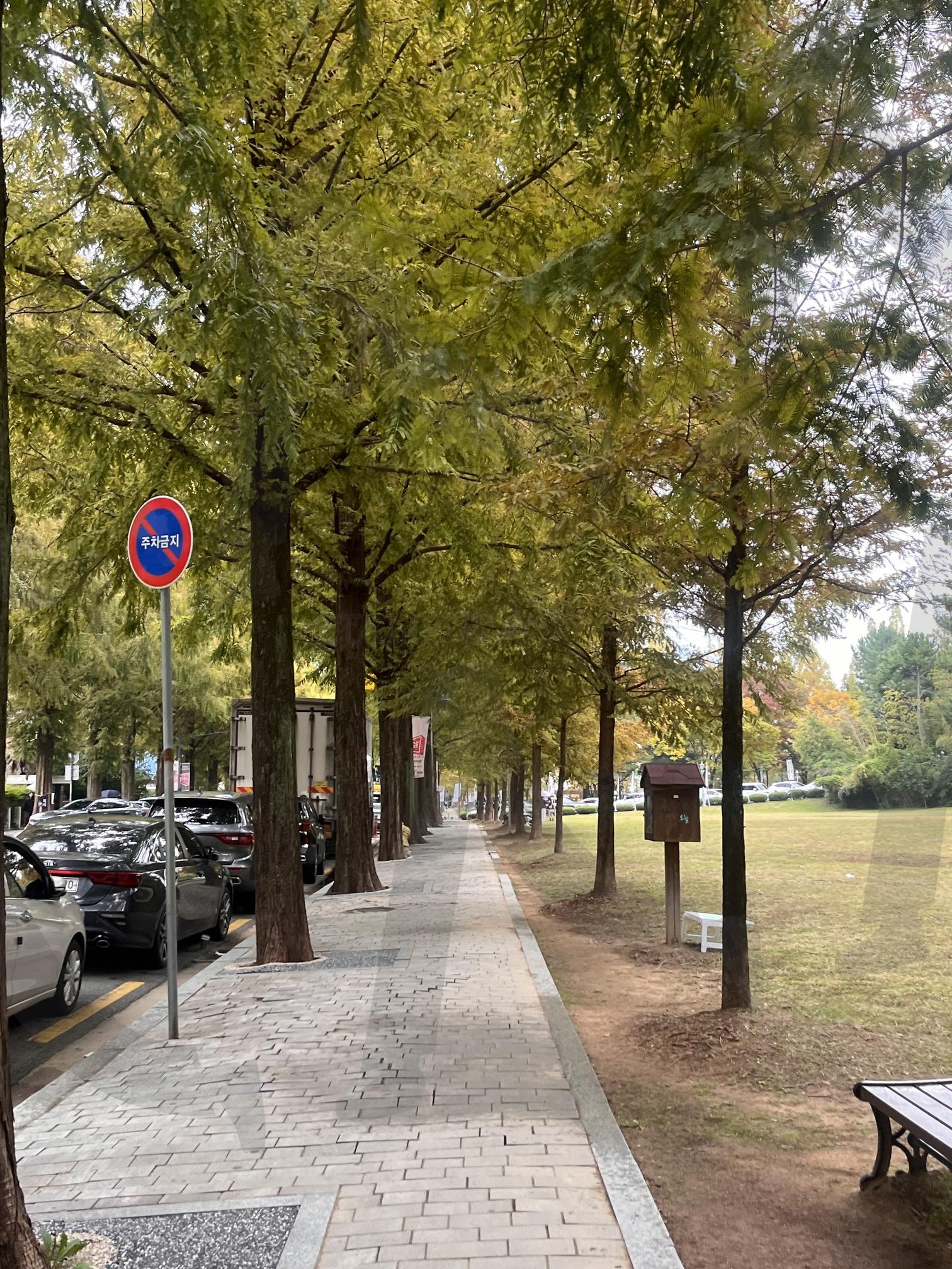 비오는 날 고요함 | 비오는 날, 산책, 고요함, 푸릇, 적적함 | 스탠바이 STANDBUY 디지털 콘텐츠