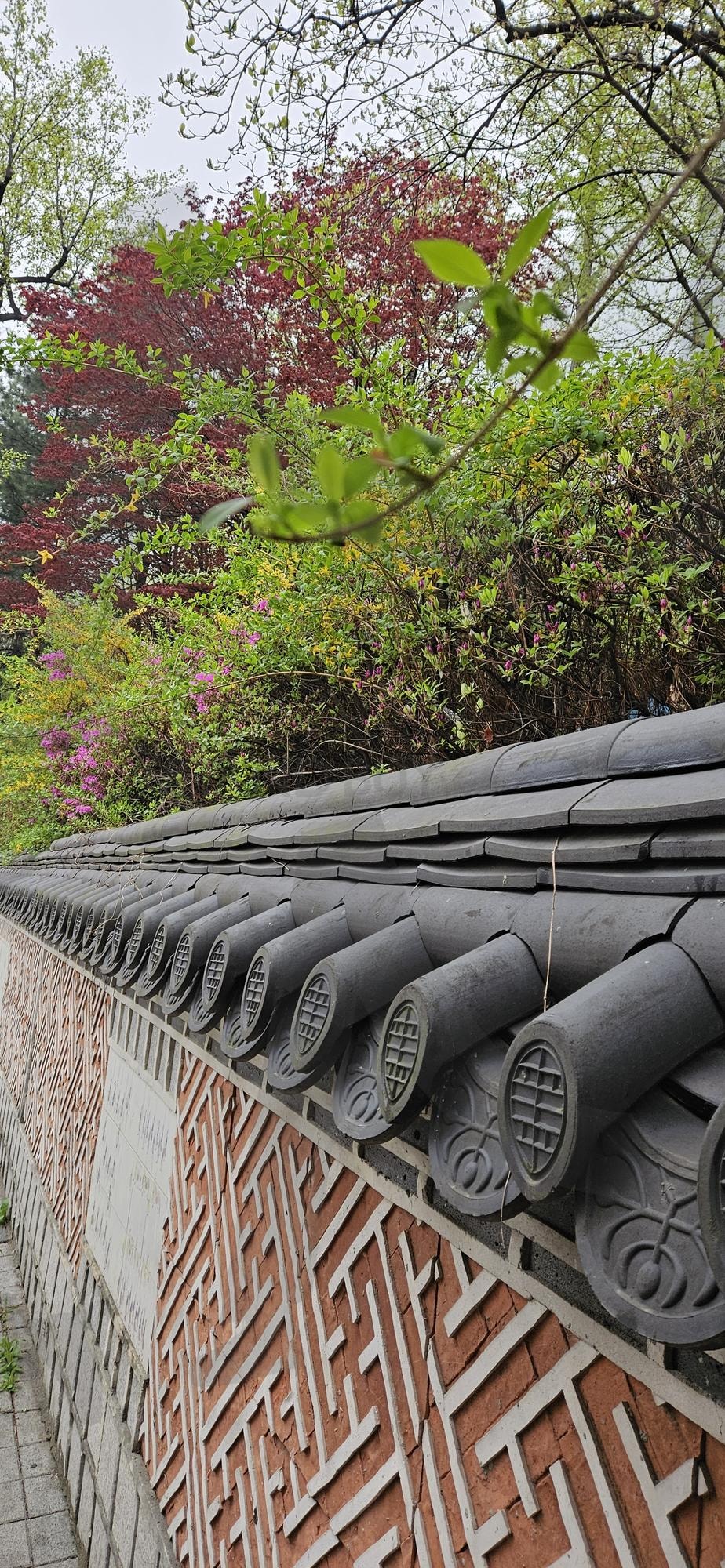 고궁담 | 고궁, 담, 나무, 가지런함, 빨강초록 | 스탠바이 STANDBUY 디지털 콘텐츠