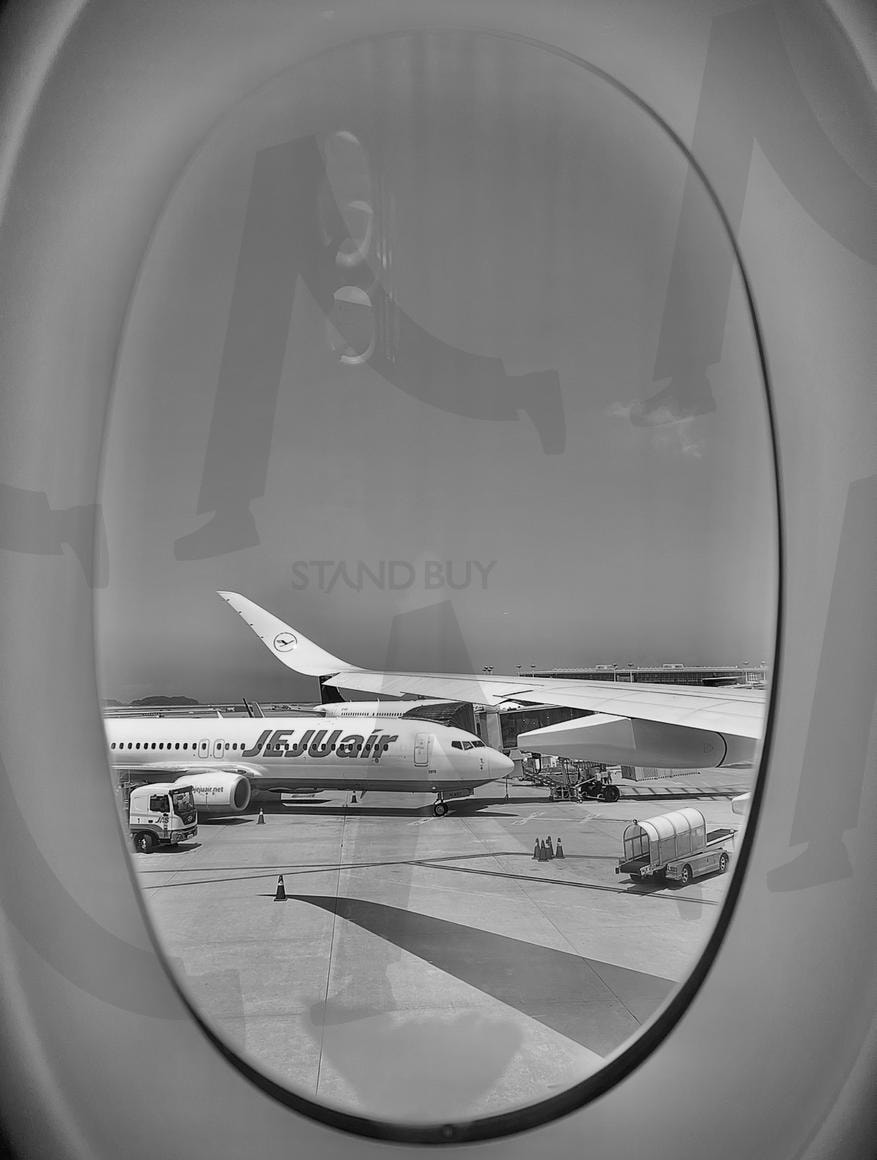 제주항공이 보이는 비행기 안 흑백 | 비행기, 비행기 안, 흑백, 무드, 분위기, 감성, 제주, 감성사진, 레퍼런스, 여름, 하늘, 고화질, 풍경, 풍경사진, 배경, 배경화면, 느낌있는, 사진 | 스탠바이 STANDBUY 디지털 콘텐츠