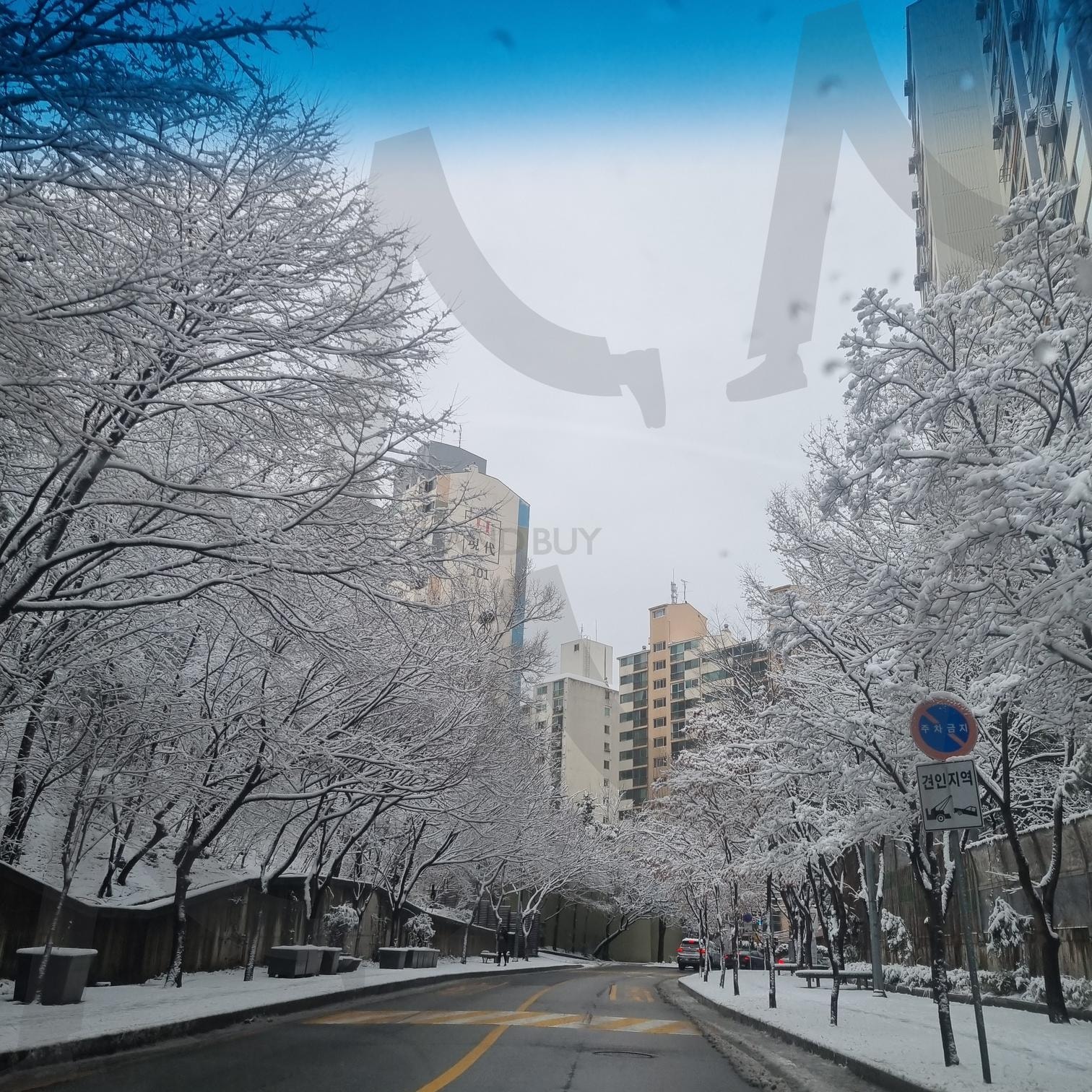 눈 내린 골목 Snowy alley | snow, quiet, winter, cold, peaceful, FROST, stillness, white, Blanket, calm, cityscape, chill, Gentle, frozen, silence, crisp, breath, hush, soft light, Morning | 스탠바이 STANDBUY 디지털 콘텐츠
