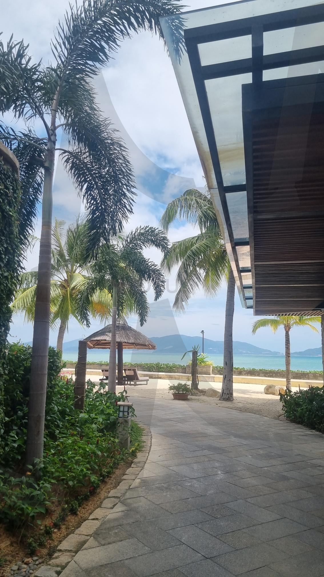 Nha TrangThành phố Nha Trang | AmianaResort, NhaTrangViews, TropicalEscape, SeasideParadise, PalmTreeVibes | 스탠바이 STANDBUY 디지털 콘텐츠