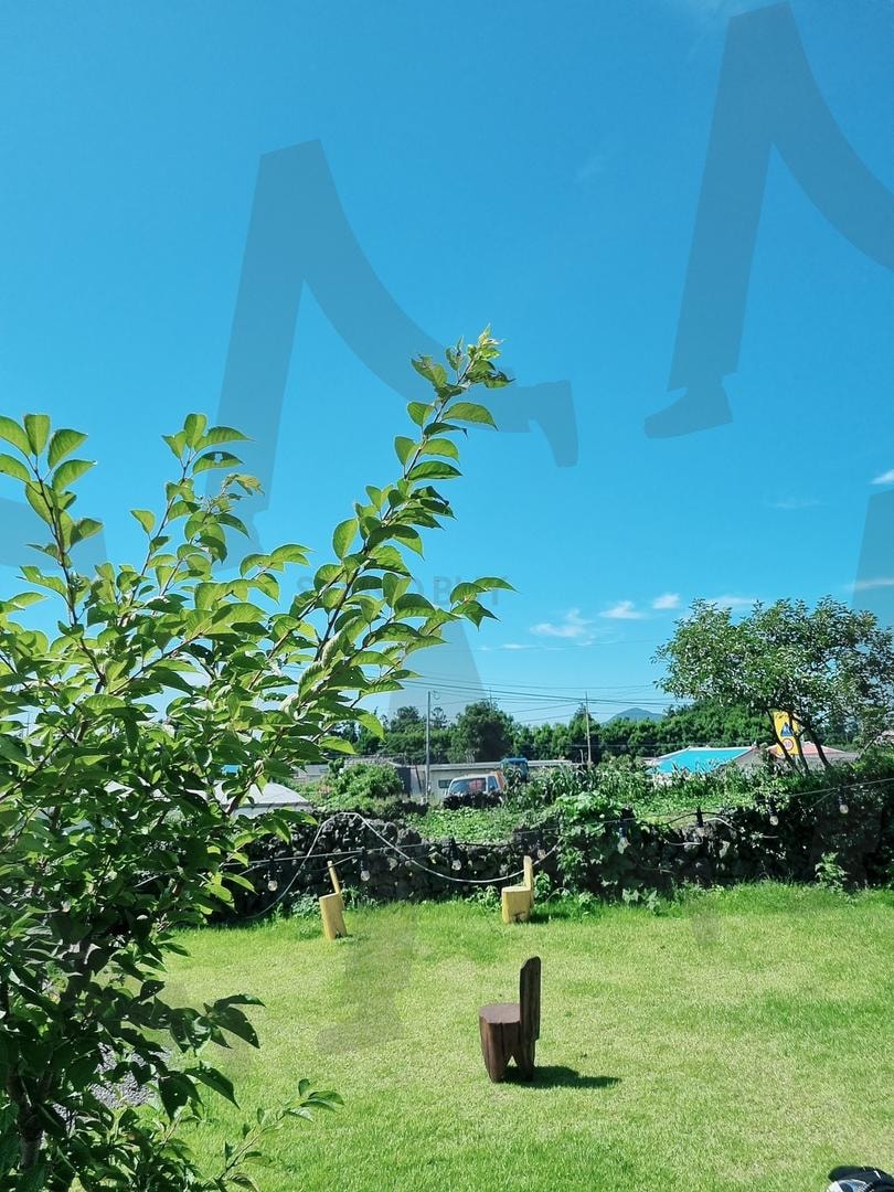 집 앞마당 Front yard of the house | cloud, sunlight, breeze, shade, Flower, wood, fence, rope, house, branch, shadow, sky-blue, calm, warm, open, clean, landscape, scene, rural, picnic | 스탠바이 STANDBUY 디지털 콘텐츠
