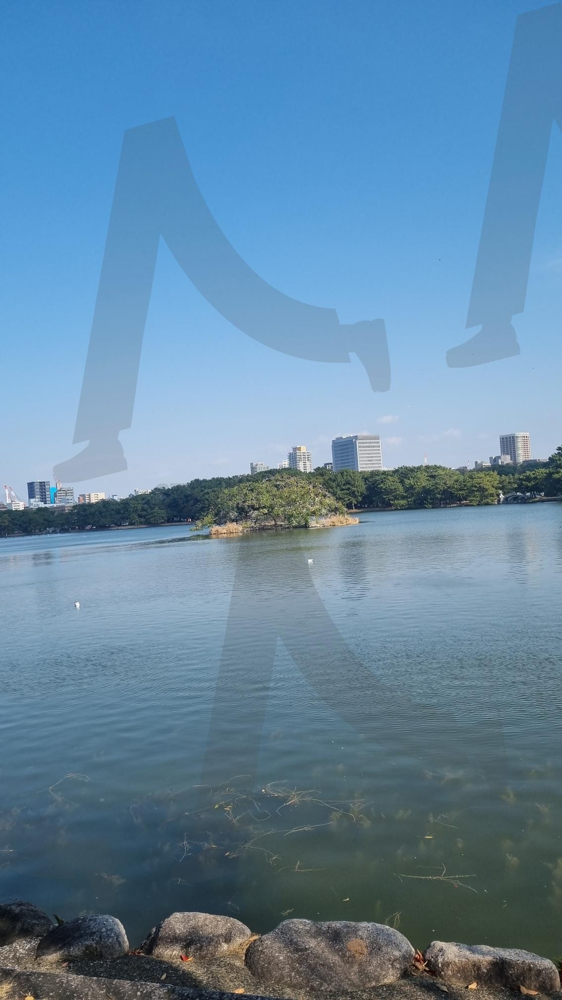 후쿠오카 Fukuoka | clear sky, calm lake, sunny day, peaceful view, Nature Walk | 스탠바이 STANDBUY 디지털 콘텐츠