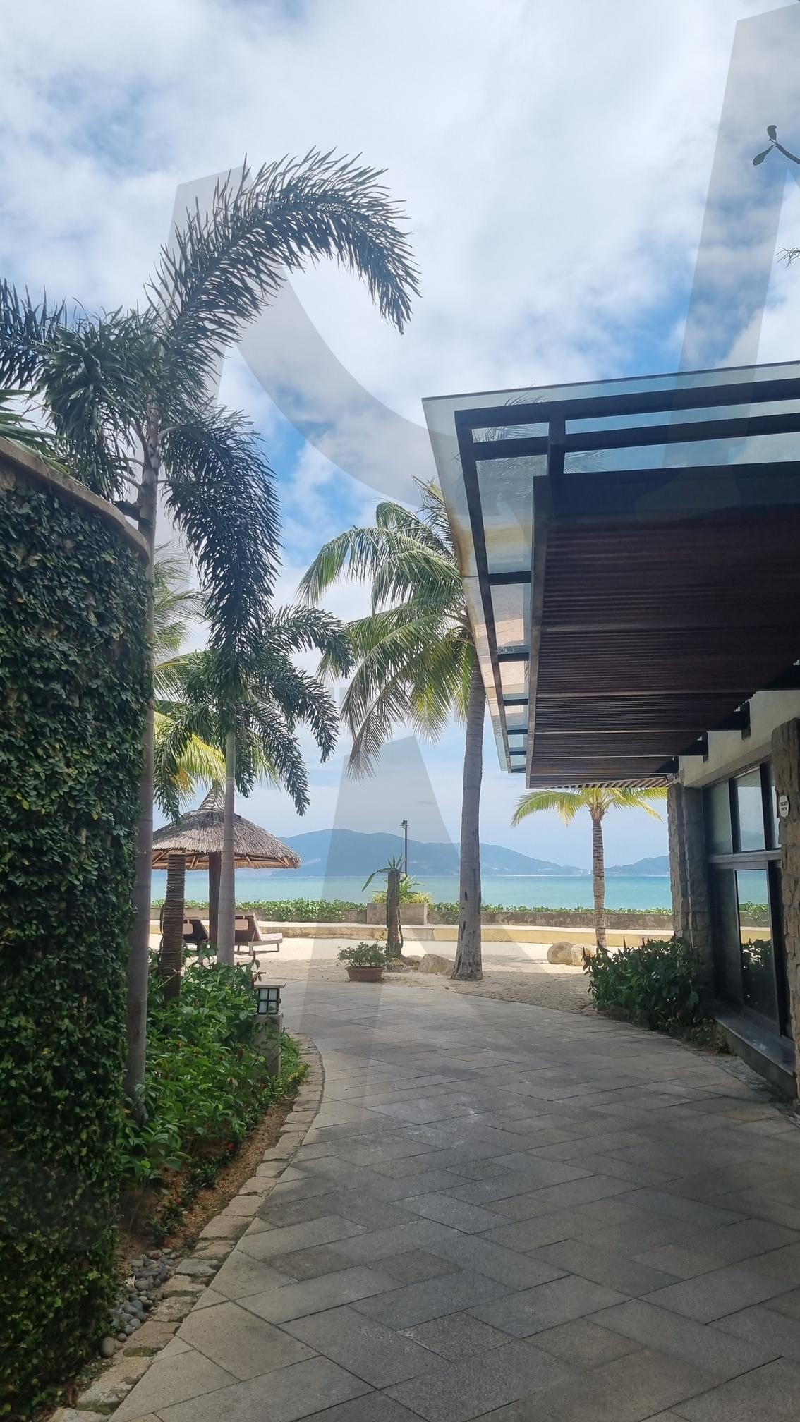 나트랑Nha TrangThành phố Nha Trang | AmianaResort, NhaTrangViews, TropicalEscape, SeasideParadise, PalmTreeVibes | 스탠바이 STANDBUY 디지털 콘텐츠