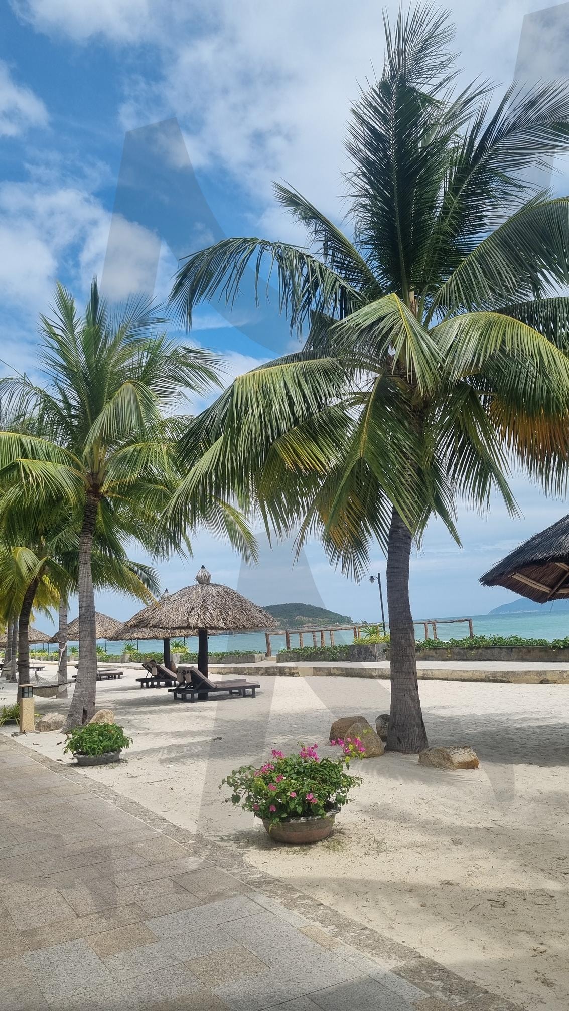 Nha TrangThành phố Nha Trang | AmianaResort, NhaTrangViews, TropicalEscape, SeasideParadise, PalmTreeVibes | 스탠바이 STANDBUY 디지털 콘텐츠