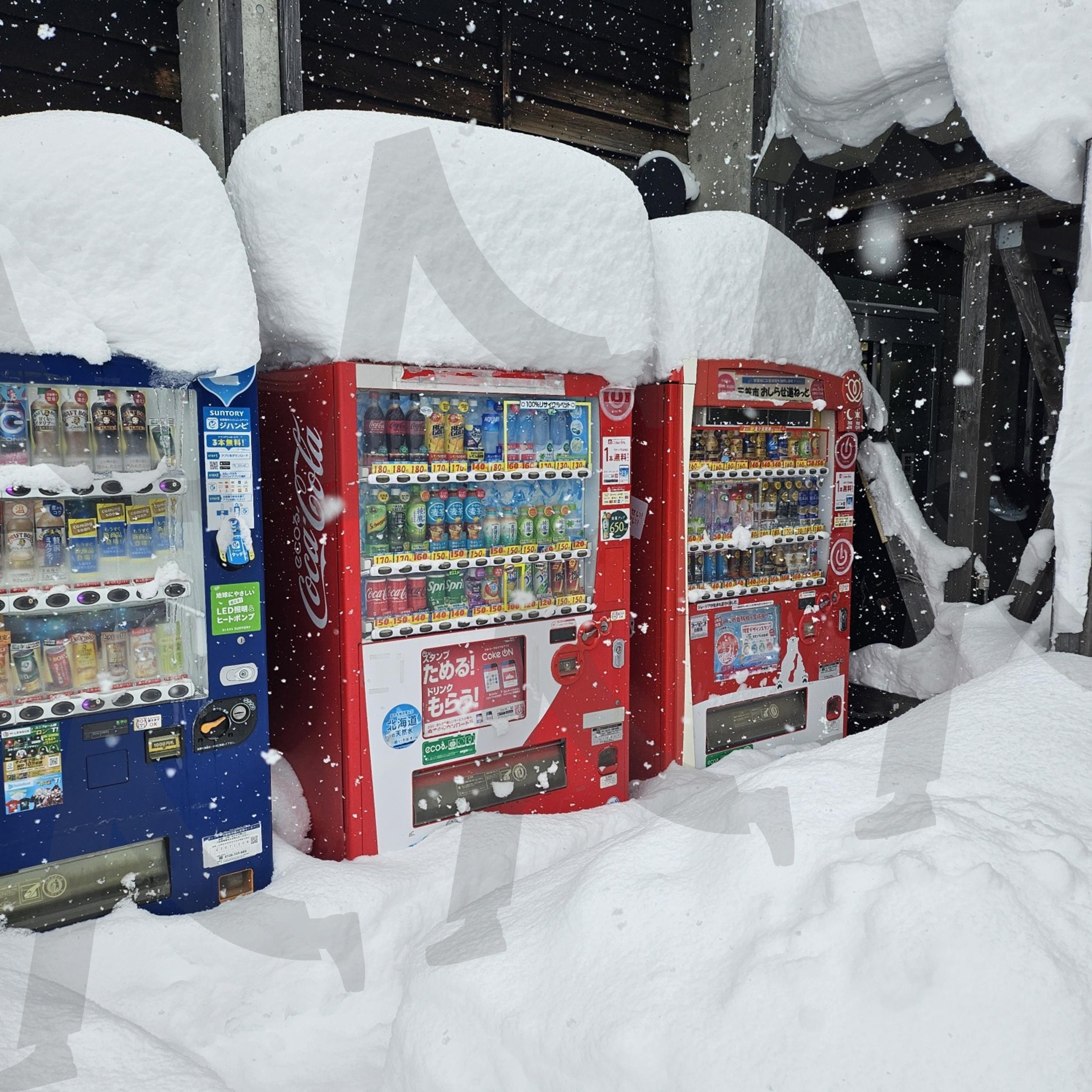 한겨울의 음료 자판기 | 자판기, 음료, 겨울, cool, 눈, 홋카이도, 일본, 풍경, 여행, 여행지 추천 | 스탠바이 STANDBUY 디지털 콘텐츠
