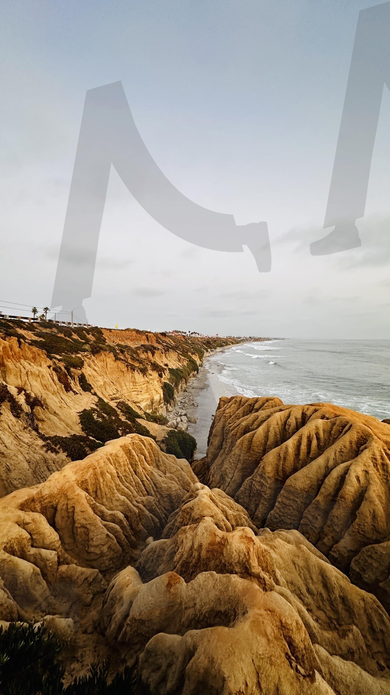 토리 파인스 (Torrey Pines State Natural Reserve) | 미국, 캘리포니아, 샌디에이고, 토리 파인스, 해안, 절벽, 바다, 암석, 여행, 여행지 추천 | 스탠바이 STANDBUY 디지털 콘텐츠