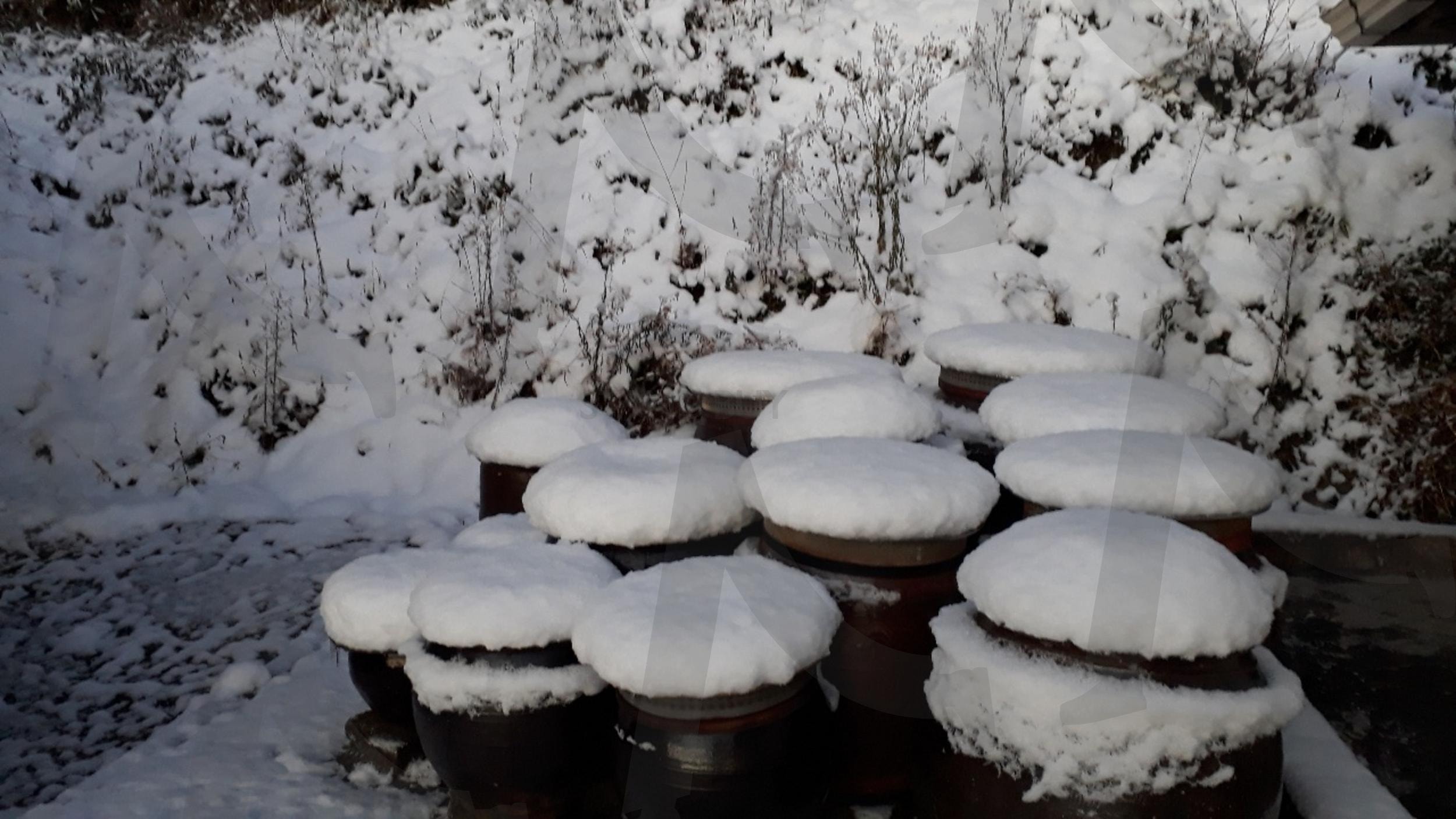 외할머니 집 장독 | 장독, 항아리, 눈, 외할머니, 집, 시골, 추억, 마당, 고추장 | 스탠바이 STANDBUY 디지털 콘텐츠