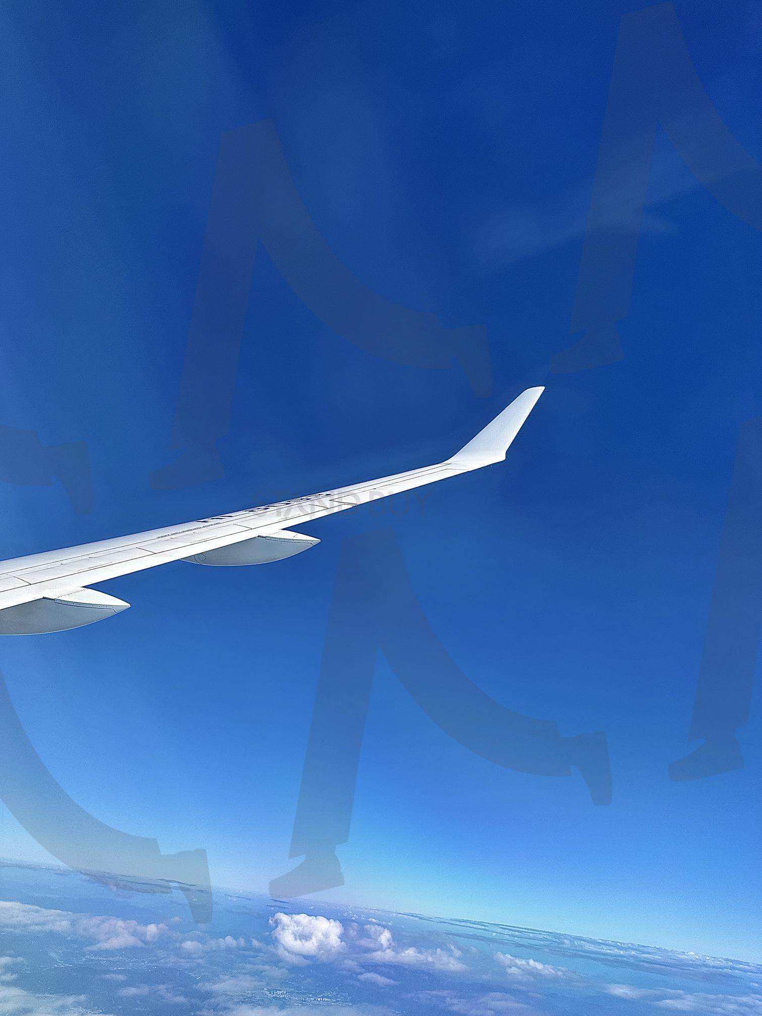 구름 위 세상은 어떨까? | 비행기, 하늘, 여행, 파란하늘, 푸른하늘, 해외여행 | 스탠바이 STANDBUY 디지털 콘텐츠