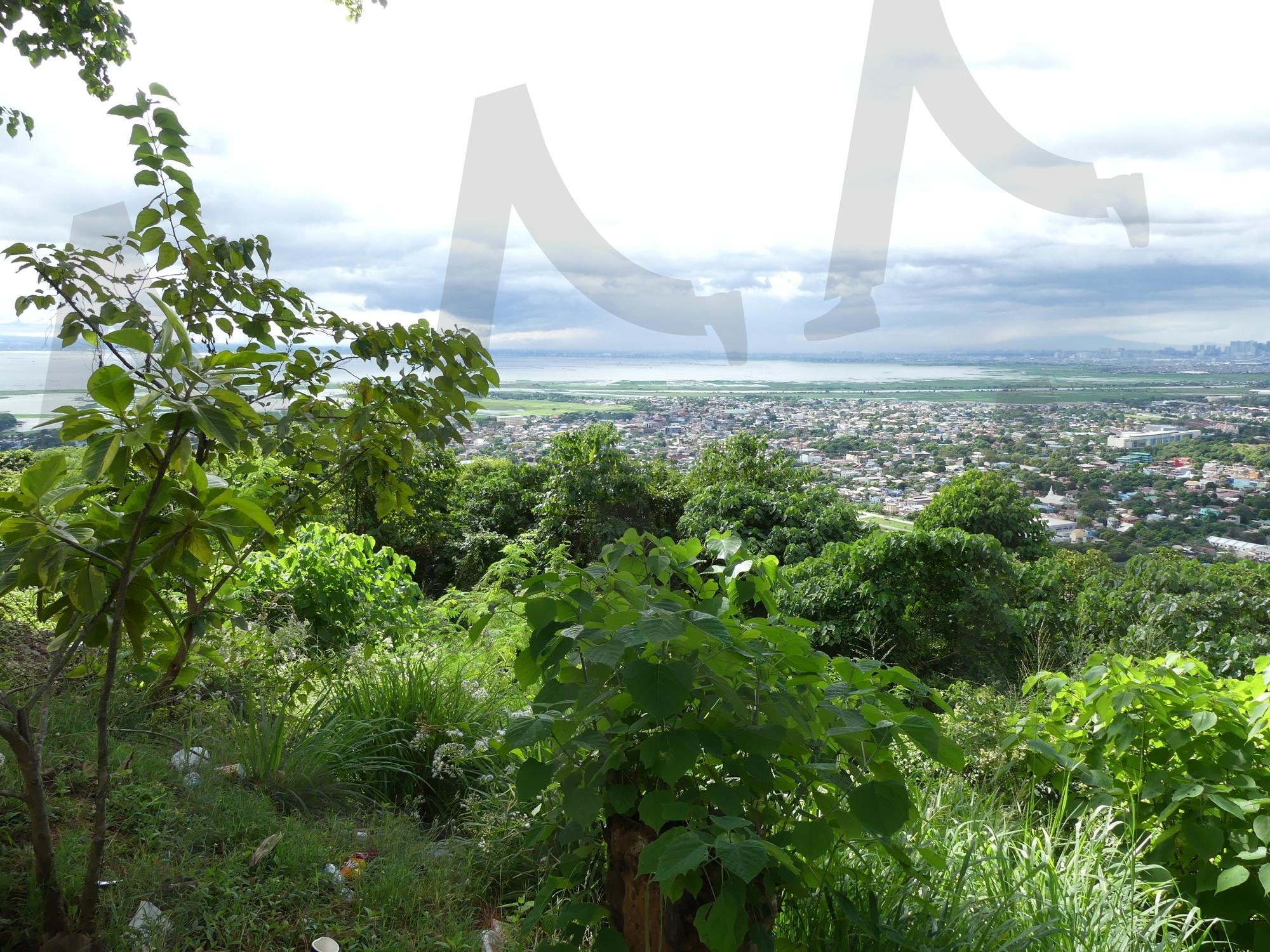 필리핀 라구나 호수 전경 | 필리핀, 라구나 호수, 필리핀 라구나 호수, 라구나 호수 전경, 필리핀에서 가장 큰 호수 라구나 | 스탠바이 STANDBUY 디지털 콘텐츠