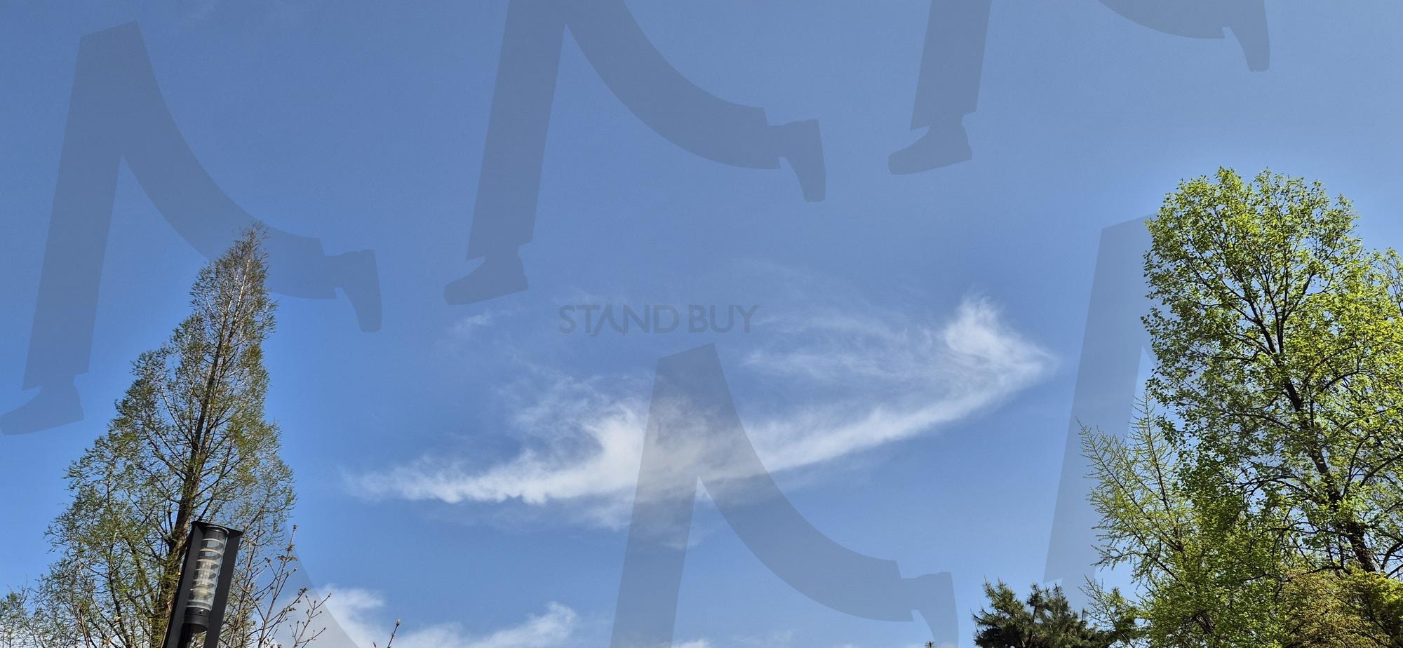 나무에 걸린 구름 | 하늘, 구름, 나무, 두그루, 걸림 | 스탠바이 STANDBUY 디지털 콘텐츠