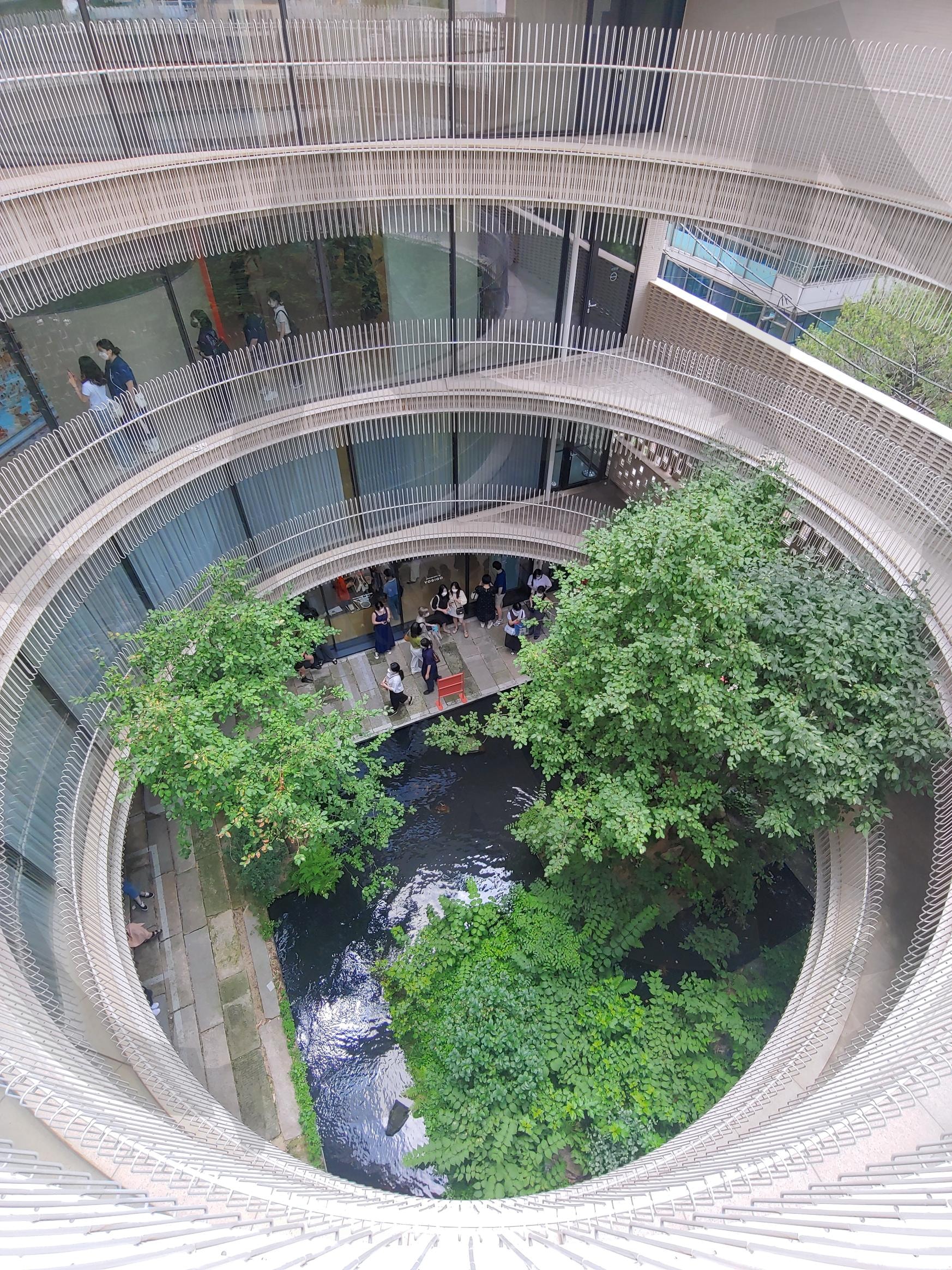 원형 건물 내부 정원 | 원형 건물, 내부 정원, 연못, 식물, 건축, 조경, 사람들, 위에서 내려다보기 | 스탠바이 STANDBUY 디지털 콘텐츠