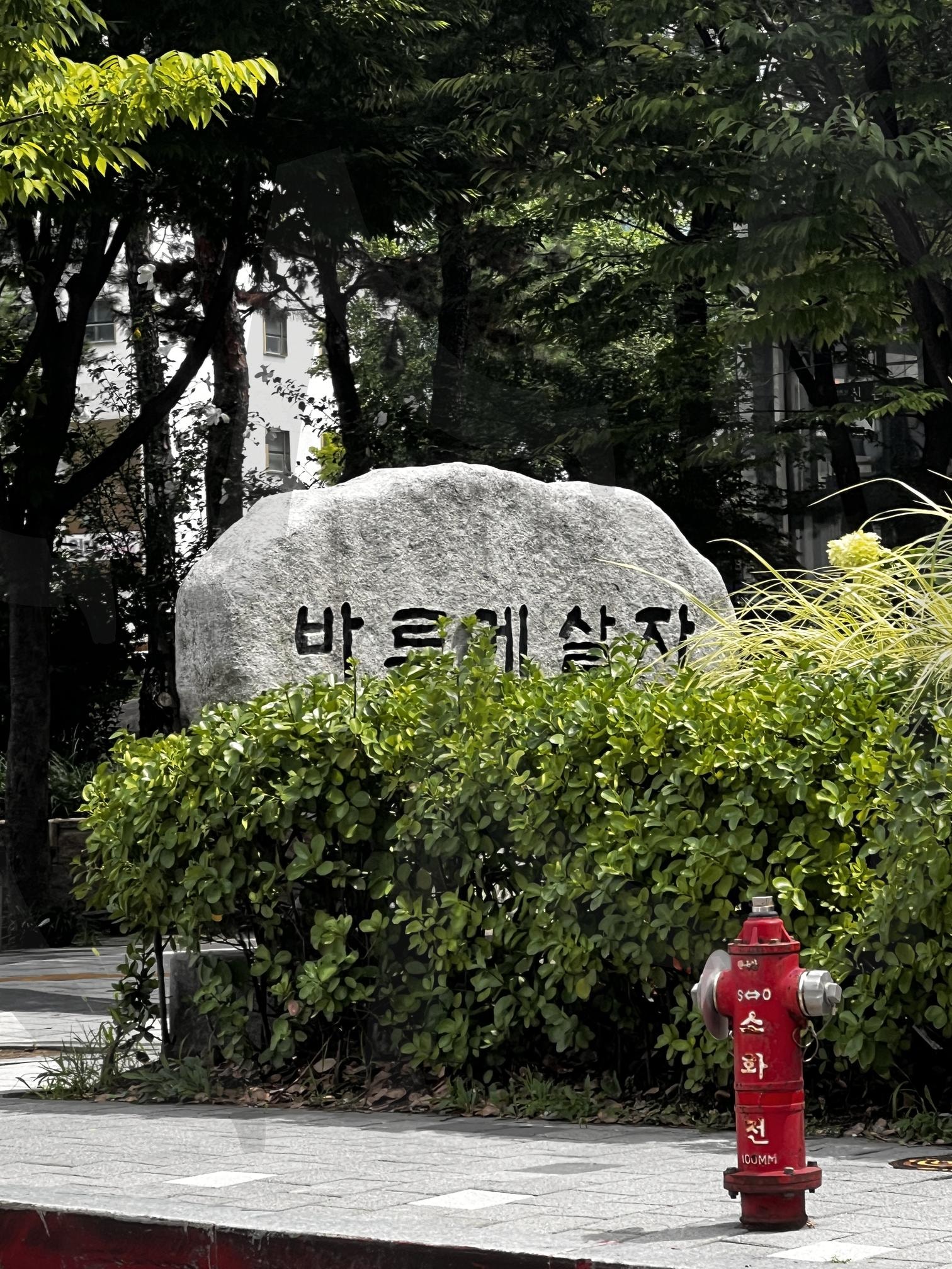 "바르게 살자"라고 쓰인 큰 돌과 빨간 소화전 | 바르게 살자, 돌, 글씨, 소화전, 빨간색, 공원, 공공장소, 나무, 덤불, 한국어 | 스탠바이 STANDBUY 디지털 콘텐츠