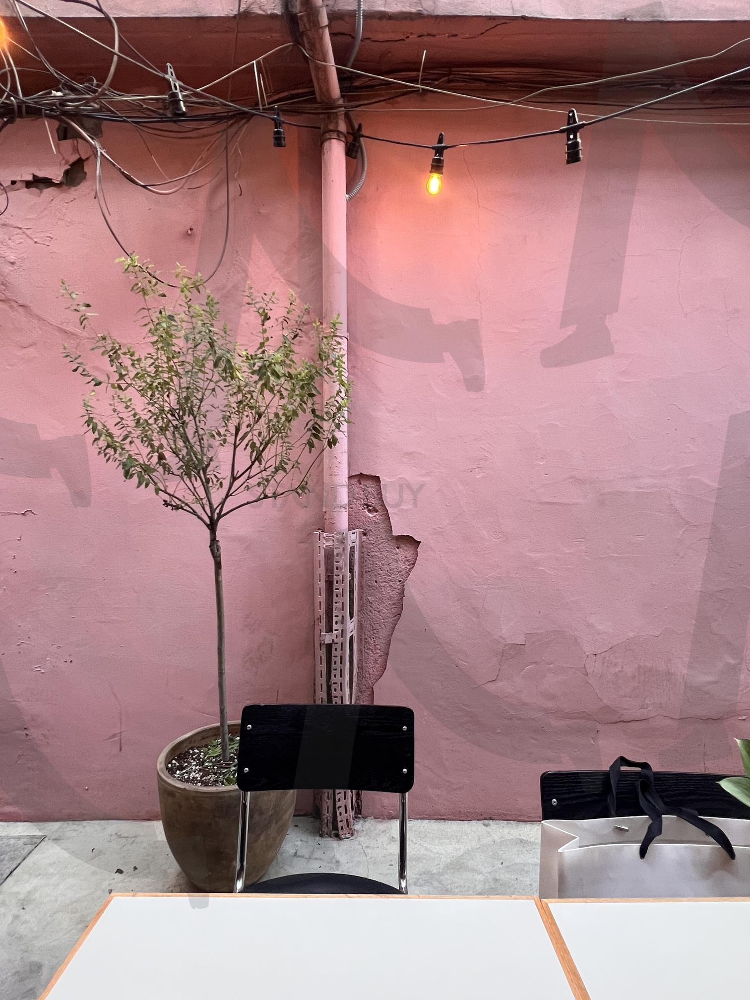 분홍색 벽 앞 테이블과 의자, 화분 | 테이블, 의자, 화분, 나무, 분홍색 벽, 야외, 가구, 식물, 조명, 공간 | 스탠바이 STANDBUY 디지털 콘텐츠