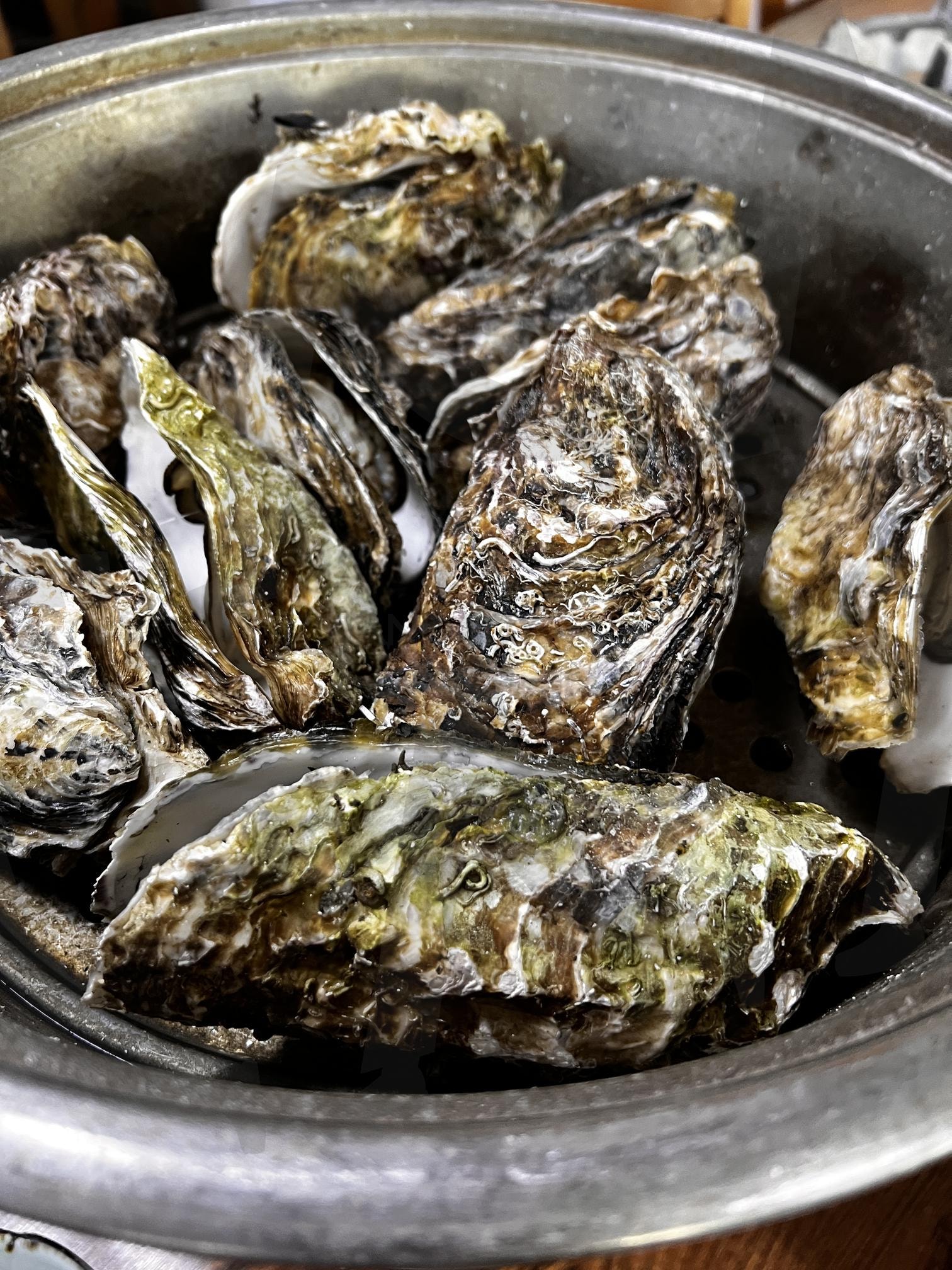 껍데기가 열린 여러 개의 굴 | 굴, 석화, 해산물, 음식, oyster, seafood | 스탠바이 STANDBUY 디지털 콘텐츠