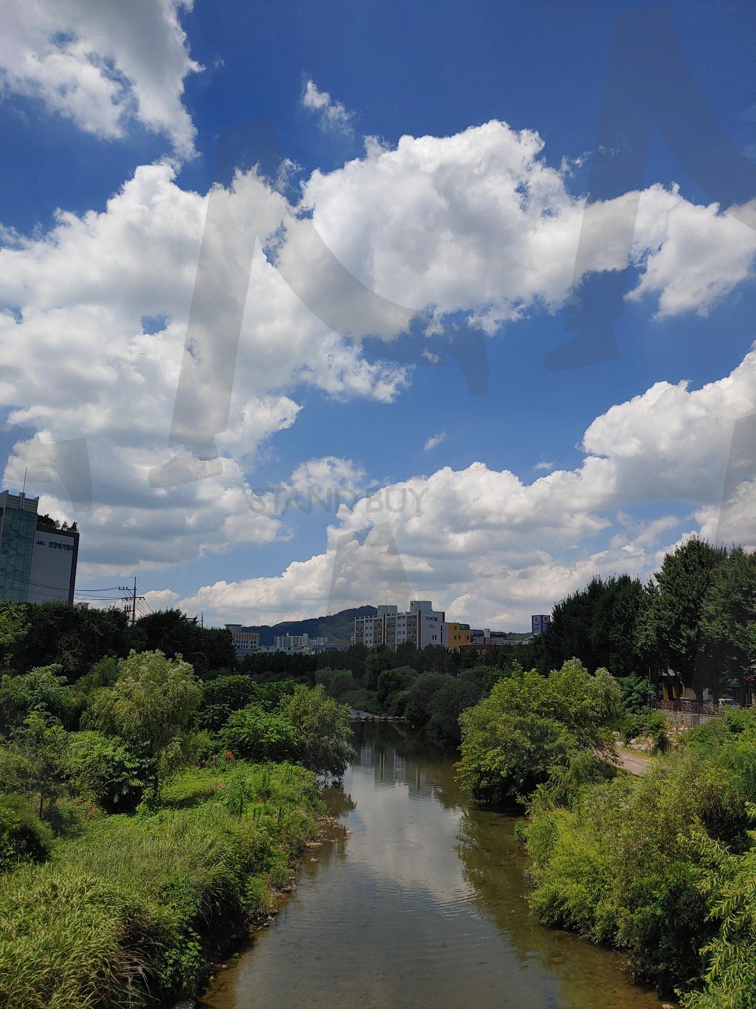 맑은 날의 안양천 풍경 | 안양천, 하천, 강, 하늘, 구름, 나무, 자연, 도시 | 스탠바이 STANDBUY 디지털 콘텐츠