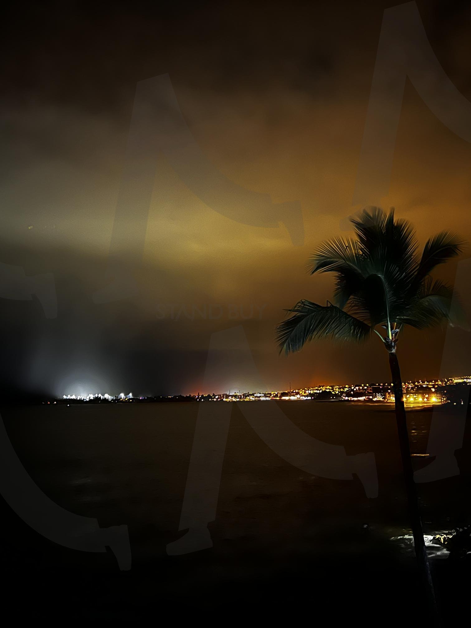 야경과 야자수 | 야경, 밤, 도시, 불빛, 야자수, 물가, 어둠, 실루엣 | 스탠바이 STANDBUY 디지털 콘텐츠