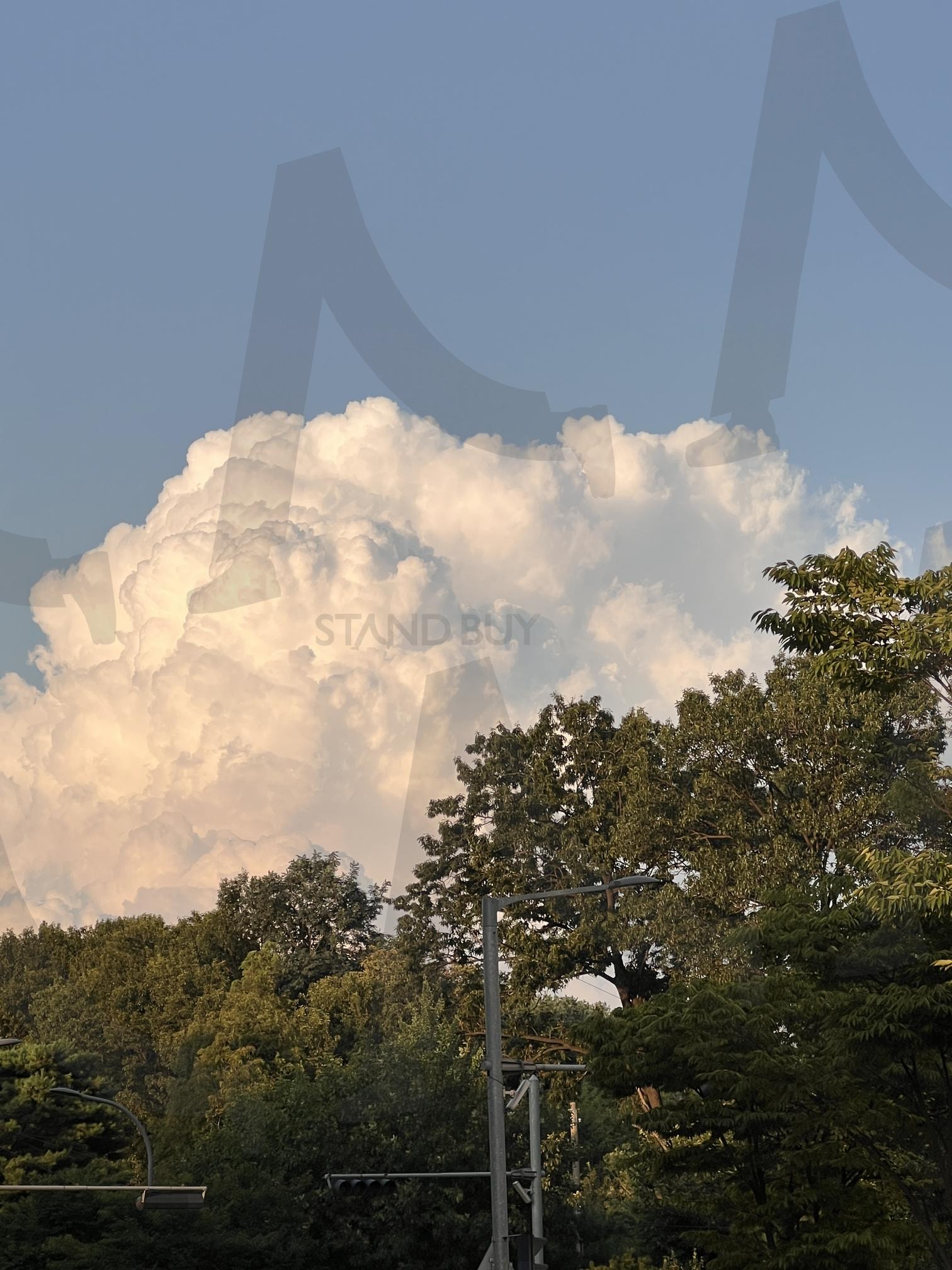 푸른 하늘 위 거대한 흰 구름과 녹색 나무들 | 구름, 흰 구름, 하늘, 푸른 하늘, 나무, 녹색, 자연, 풍경, 뭉게구름, 웅장함 | 스탠바이 STANDBUY 디지털 콘텐츠