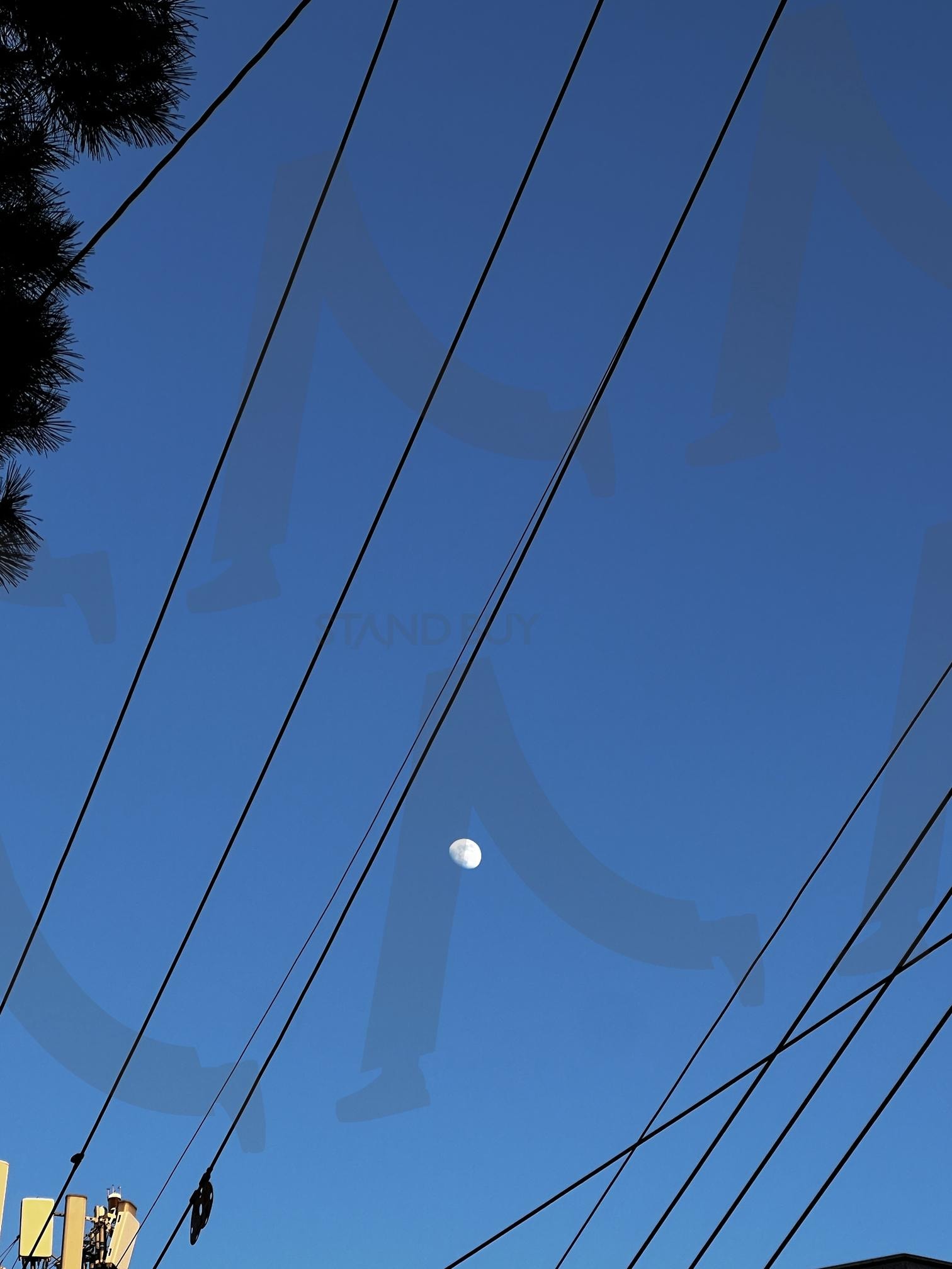 푸른 저녁 하늘의 달과 전선 | 달, 저녁 하늘, 푸른색, 전선, 하늘, 자연, 풍경, 전봇대, 해질녘, 어스름 | 스탠바이 STANDBUY 디지털 콘텐츠