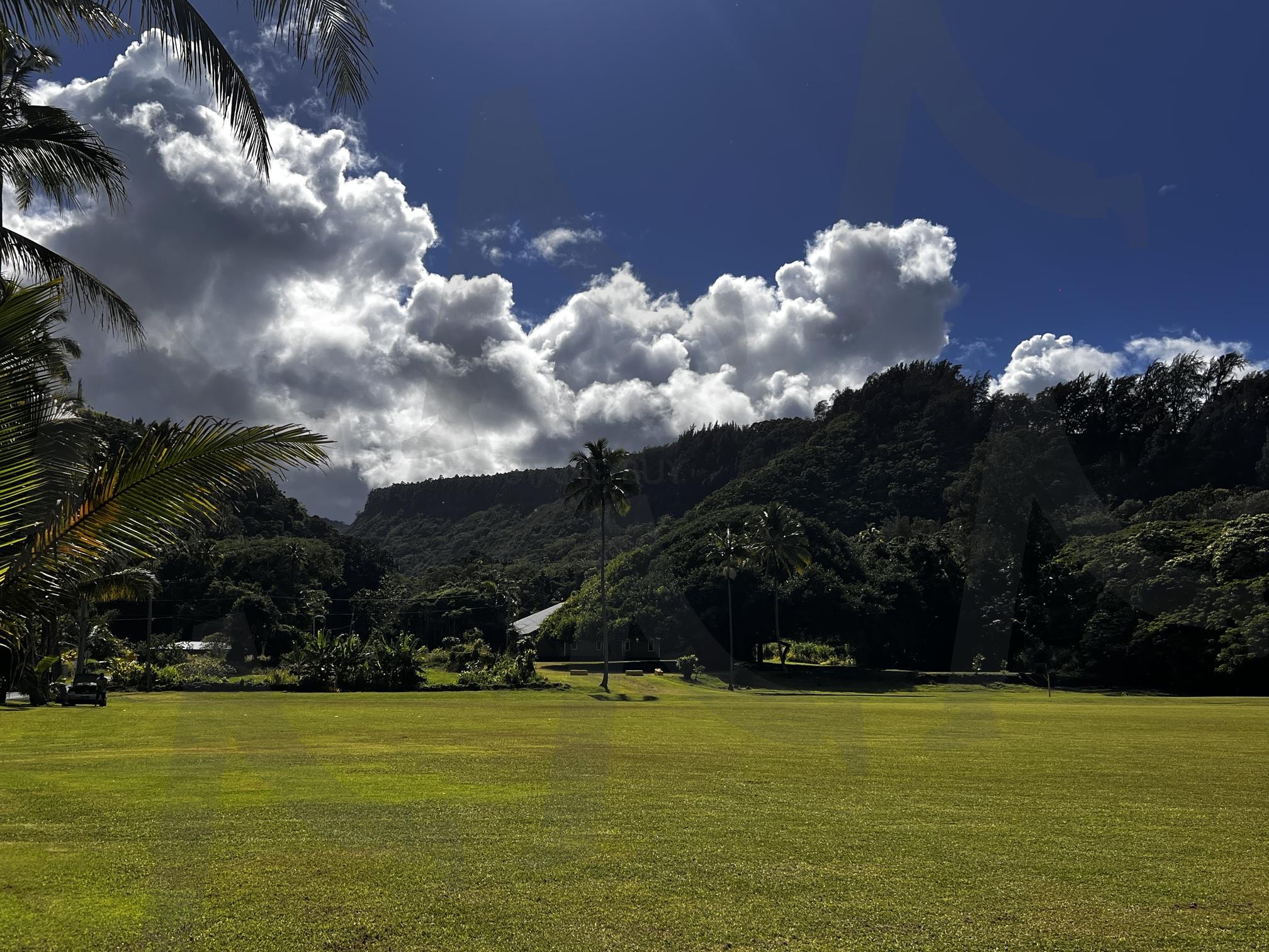 푸른 잔디밭과 산으로 둘러싸인 풍경 | 잔디밭, 산, 나무, 자연, 풍경, 푸른색, 녹색, 하늘, 구름, 야외 | 스탠바이 STANDBUY 디지털 콘텐츠