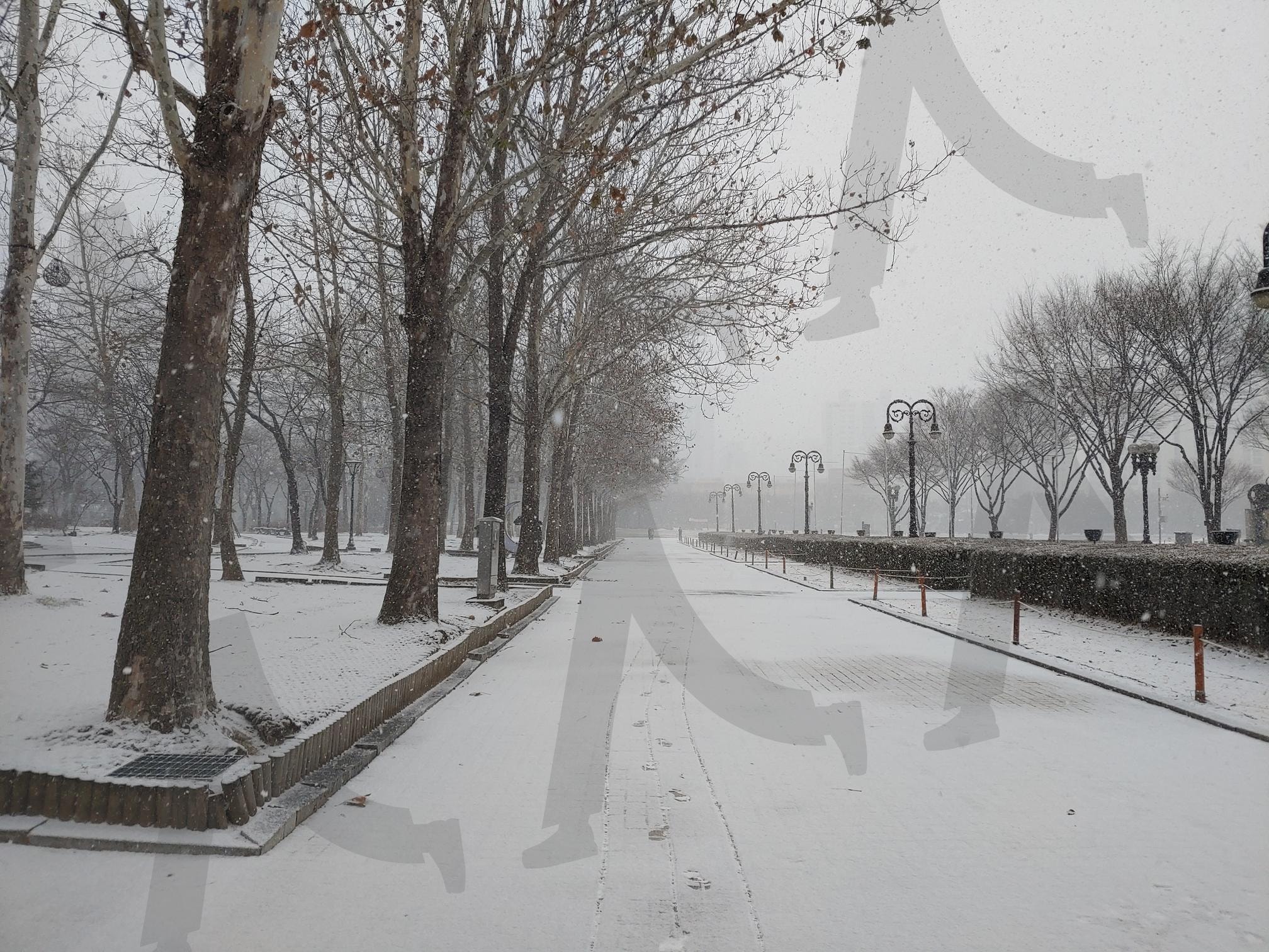 눈 내리는 공원의 겨울 풍경 | 눈, 겨울, 공원, 산책로, 나무, 풍경, 하얀색, 가로등, 발자국 | 스탠바이 STANDBUY 디지털 콘텐츠