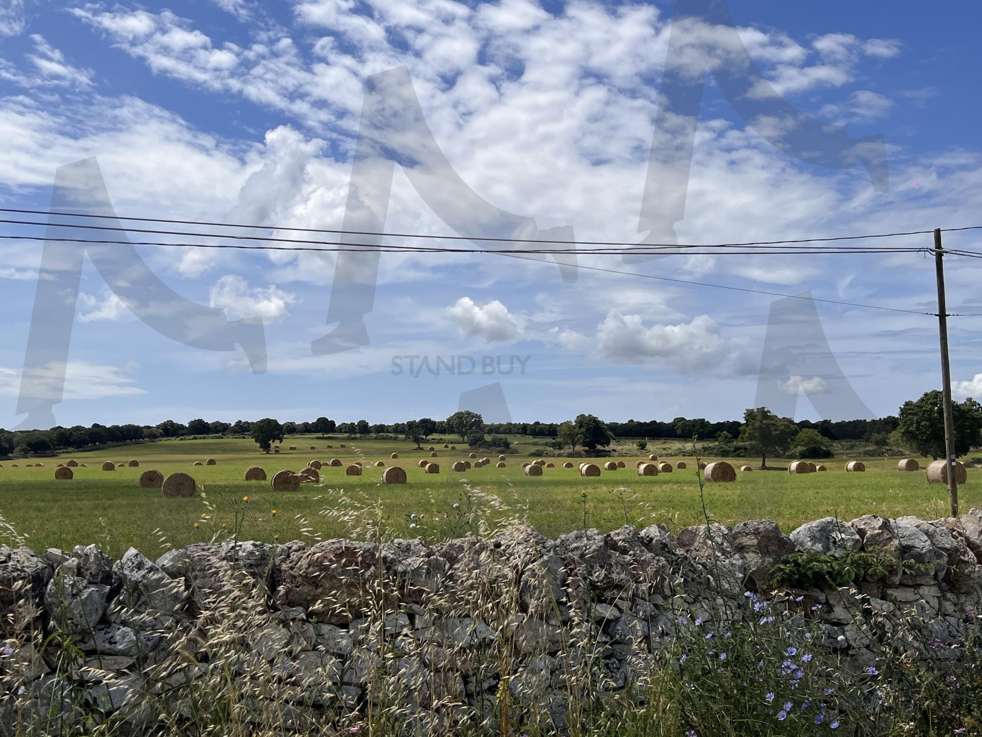 푸른 하늘 아래 둥근 건초 더미가 있는 들판 | 건초 더미, 들판, 농업, 자연, 풍경, Hay bales, field, agriculture, nature | 스탠바이 STANDBUY 디지털 콘텐츠