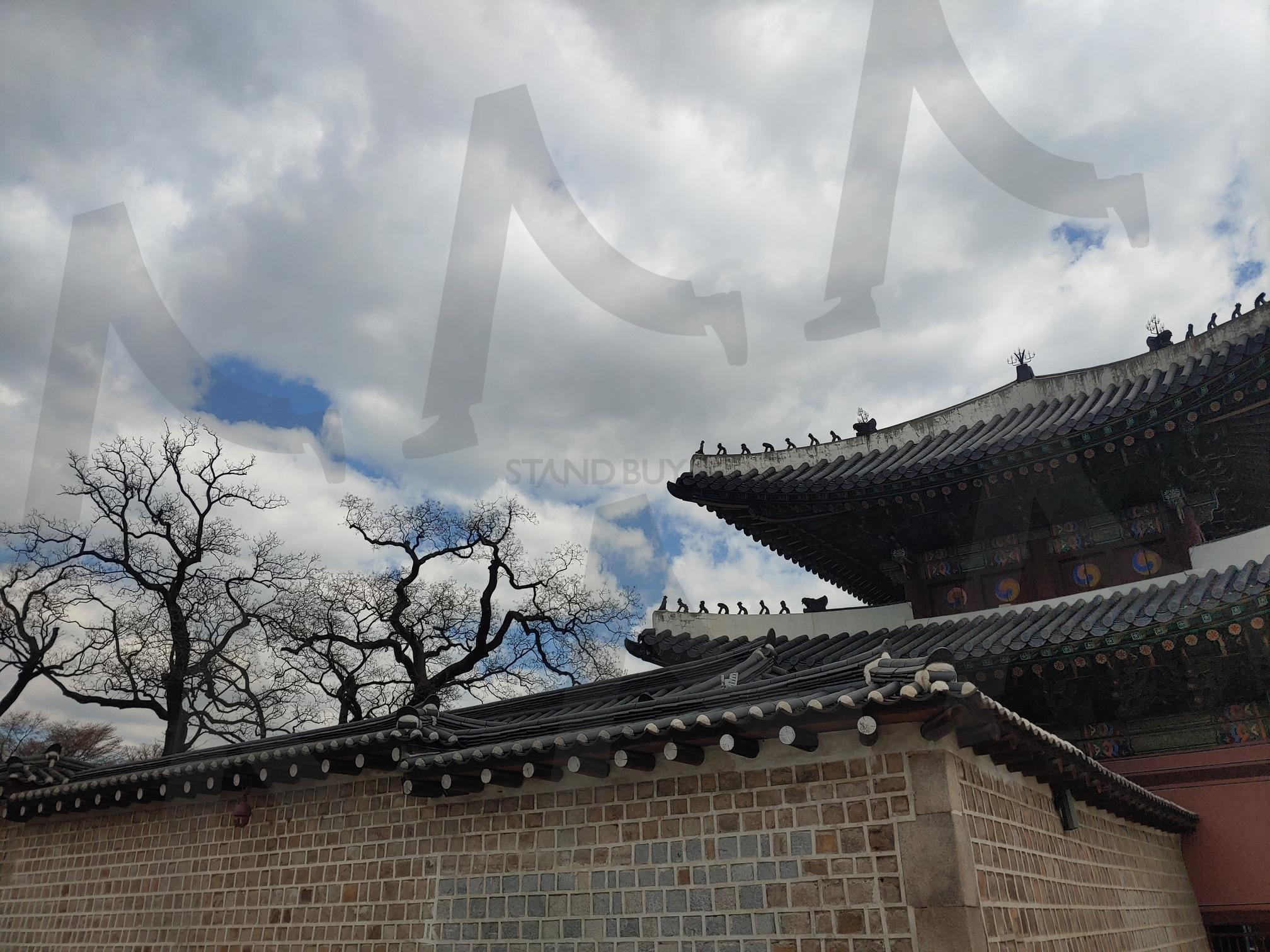 한국 전통 건축물 지붕과 돌담 | 한국 전통 건축, 지붕, 기와, 처마, 돌담, 벽돌, 하늘, 구름, 나무, 건축, 문화유산 | 스탠바이 STANDBUY 디지털 콘텐츠