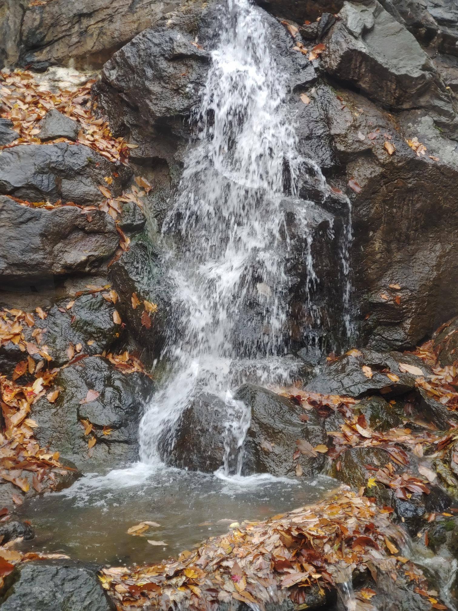 낙엽 사이로 흐르는 작은 폭포 | 폭포, 낙엽, 바위, 물, 가을, 자연, 계곡, 웅덩이 | 스탠바이 STANDBUY 디지털 콘텐츠
