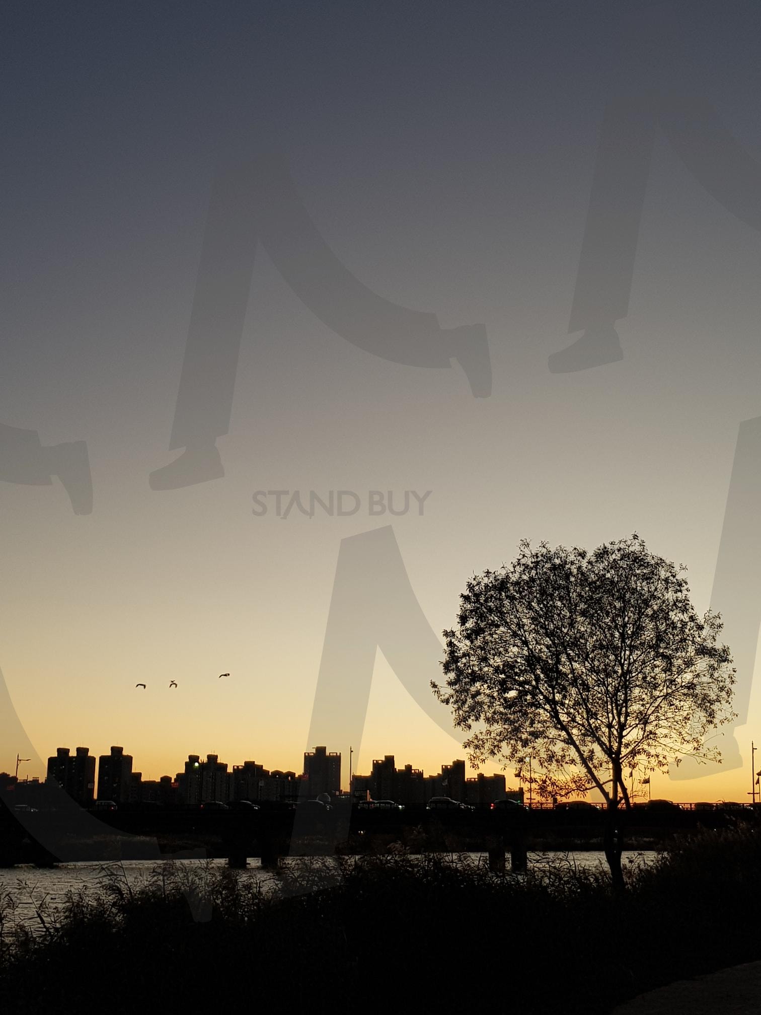 황혼 | 황혼, 노을, 나무 실루엣, 저녁하늘, 강 | 스탠바이 STANDBUY 디지털 콘텐츠