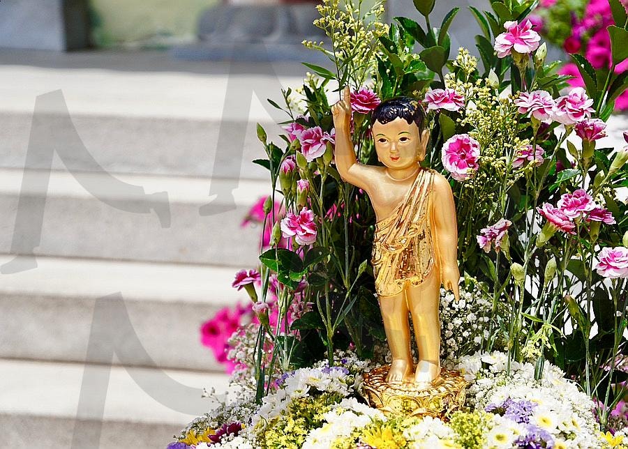 부처님오신날 | 부산사찰, 영도사찰, 부처님오신날, 복천사, 영도복천사 | 스탠바이 STANDBUY 디지털 콘텐츠