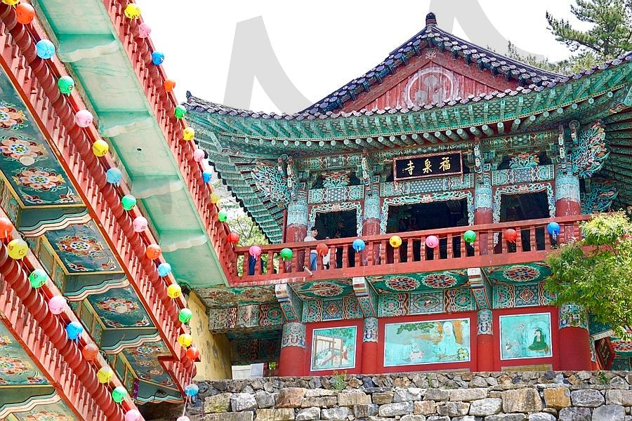 부처님오신날 영도복천사 | 부산사찰, 영도사찰, 영도복천사, 복천사, 부처님오신날 | 스탠바이 STANDBUY 디지털 콘텐츠