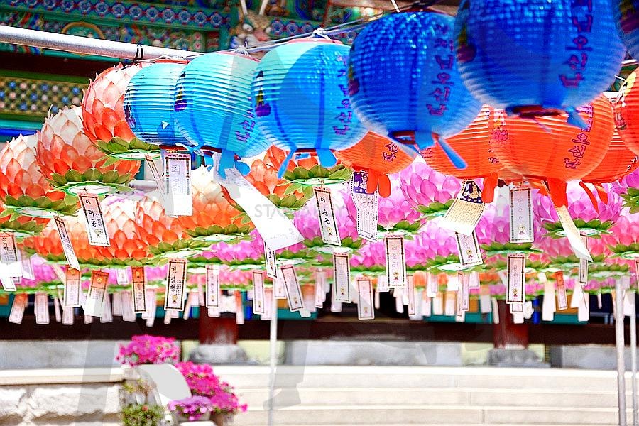 부처님오신날 연등 | 부처님오신날, 부처님오신날연등, 연등, 사찰, 연등사진 | 스탠바이 STANDBUY 디지털 콘텐츠