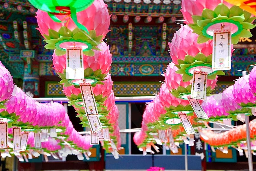 부처님오신날 영도 복천사 | 부산사찰, 영도사찰, 영도복천사, 복천사, 부처님오신날 | 스탠바이 STANDBUY 디지털 콘텐츠