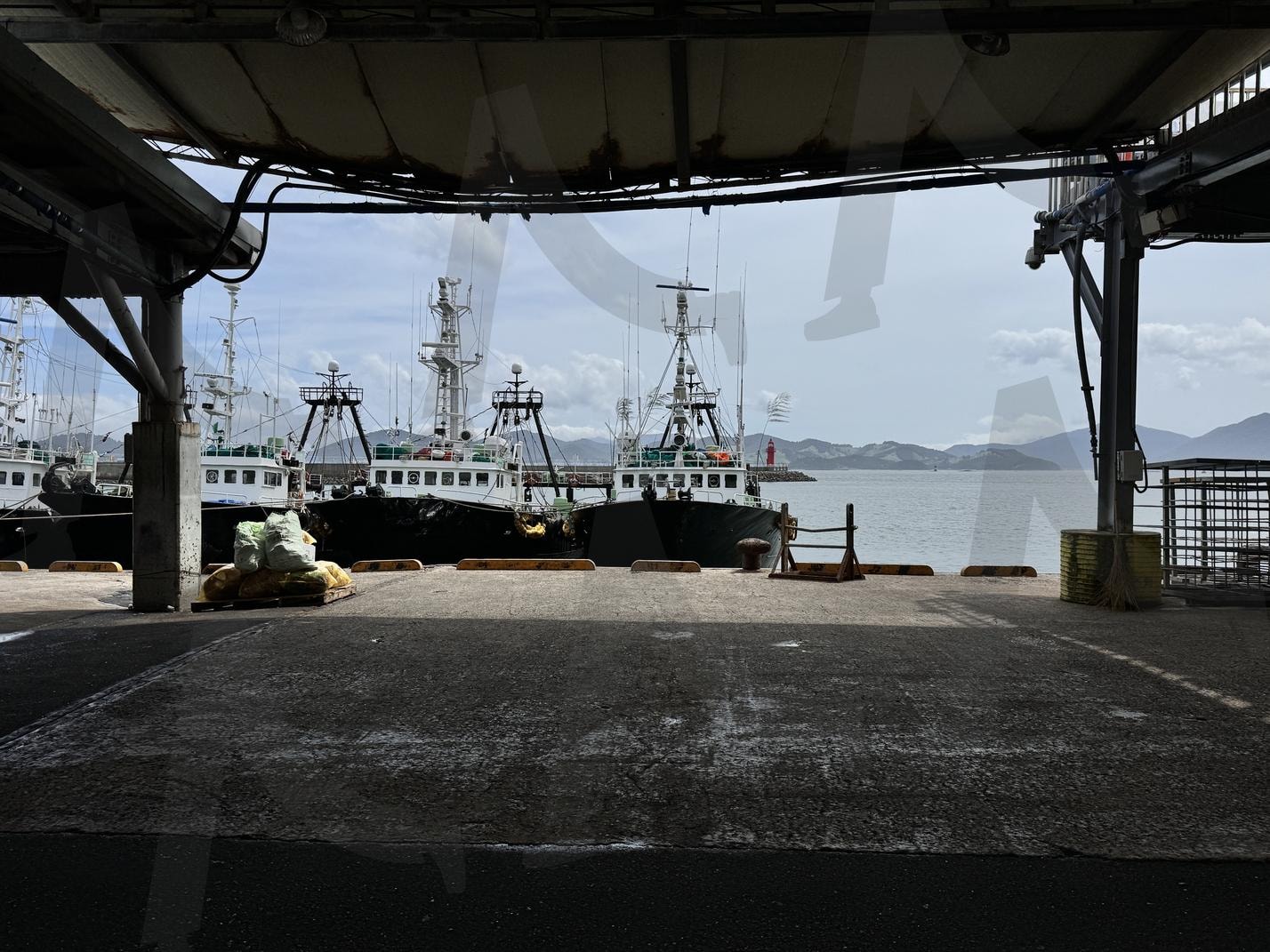 사천 삼천포 바다 배 | 한국남해, 사천, 대한민국, 삼천포, korea, 삼천포항 | 스탠바이 STANDBUY 디지털 콘텐츠