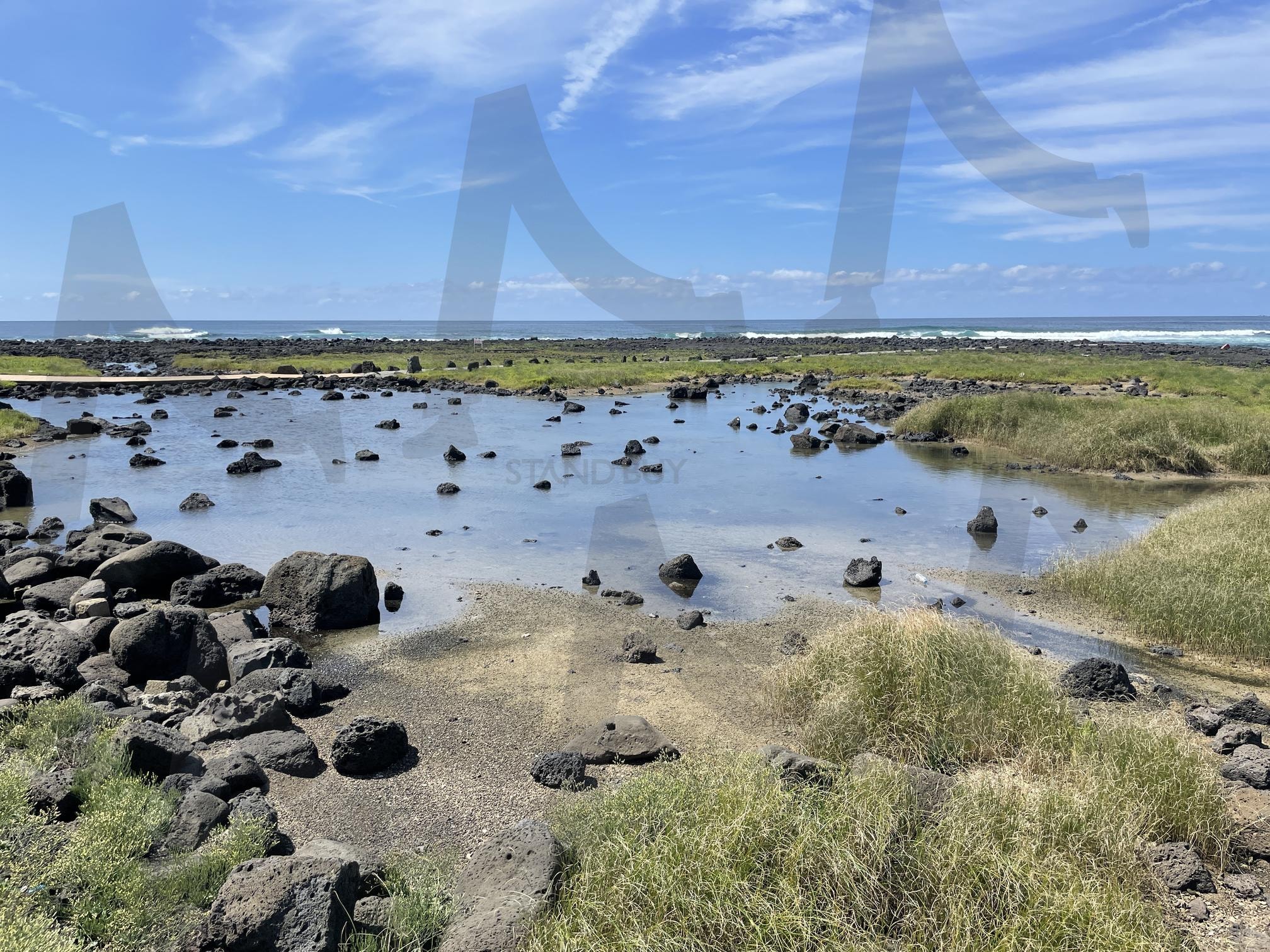 제주도 바다 서귀포시 | 제주도, korea, jeju, 서귀포, 한국여행 | 스탠바이 STANDBUY 디지털 콘텐츠