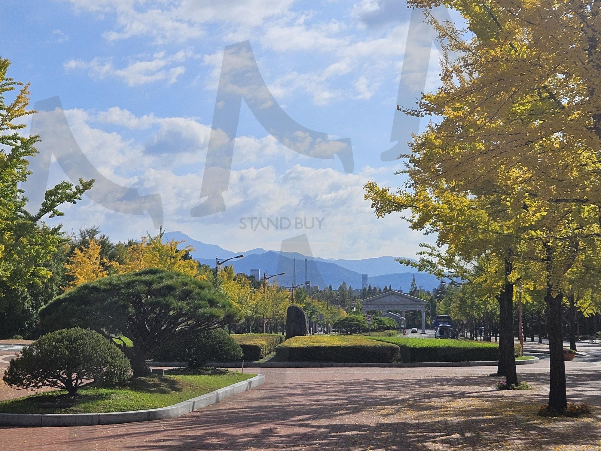 캠퍼스 가을 경치 | 대구, 계명대, 캠퍼스, 학교, 가을, 날씨, 하늘, 구름, 경치, 화창함, 산책, 아름다움, 썸네일 | 스탠바이 STANDBUY 디지털 콘텐츠