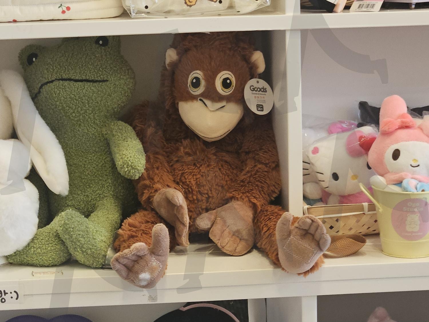 꾸깃 | 답답함, 소품샵, 원숭이, 인형, 진열, 귀여움, 썸네일, 경주, 여행, 가족 | 스탠바이 STANDBUY 디지털 콘텐츠